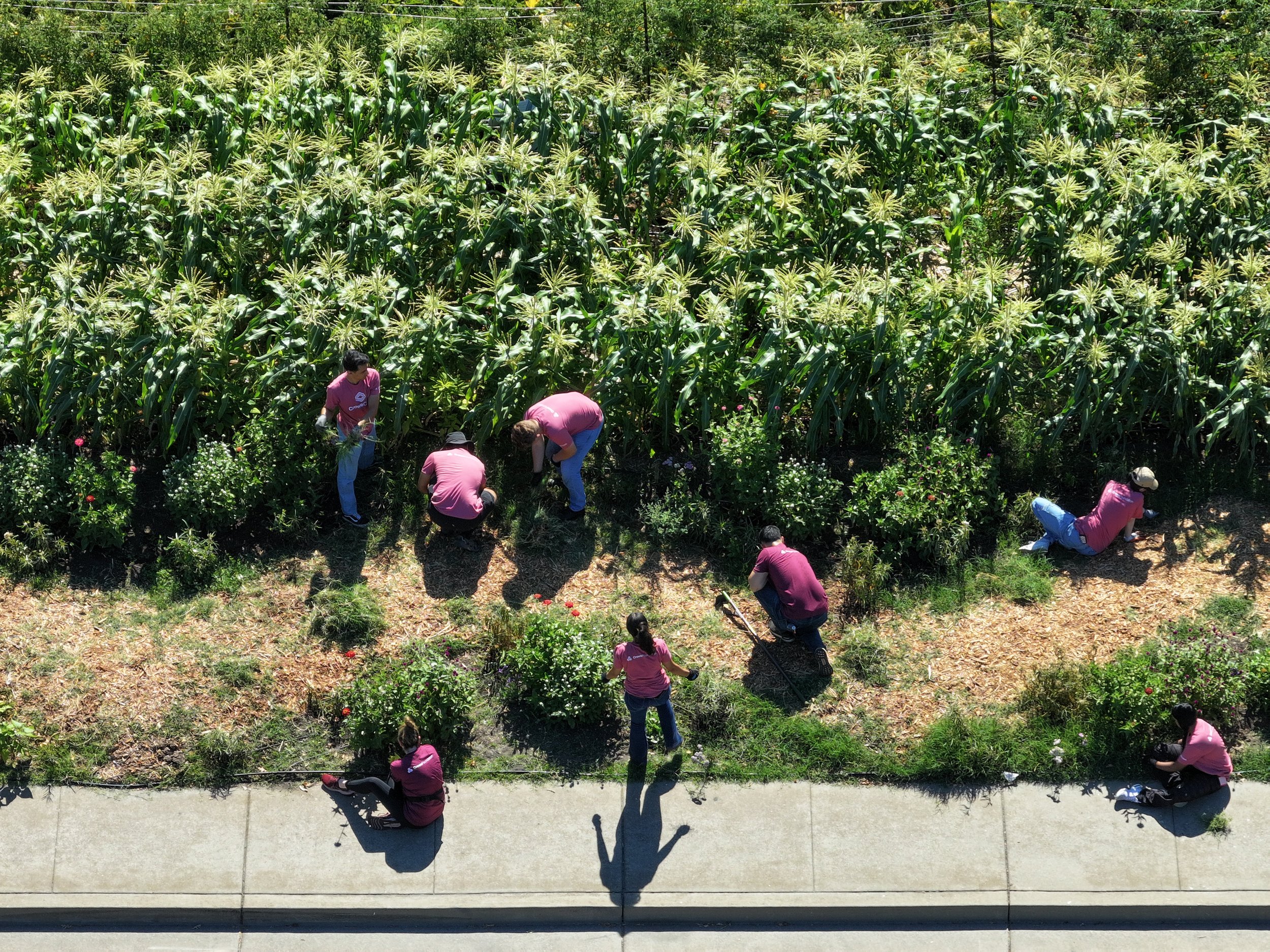 TSG 2025 Impact Report