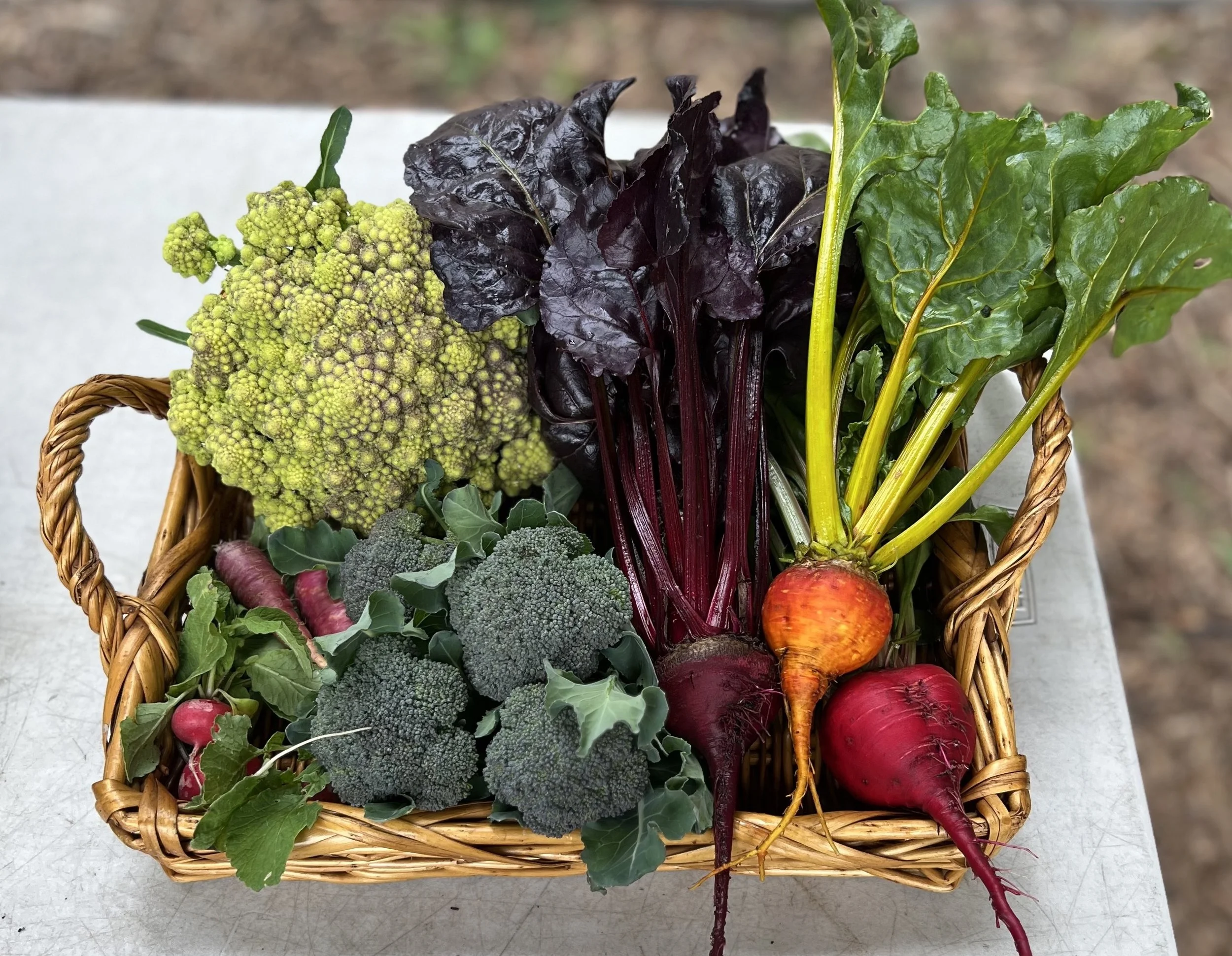 January Skills Share