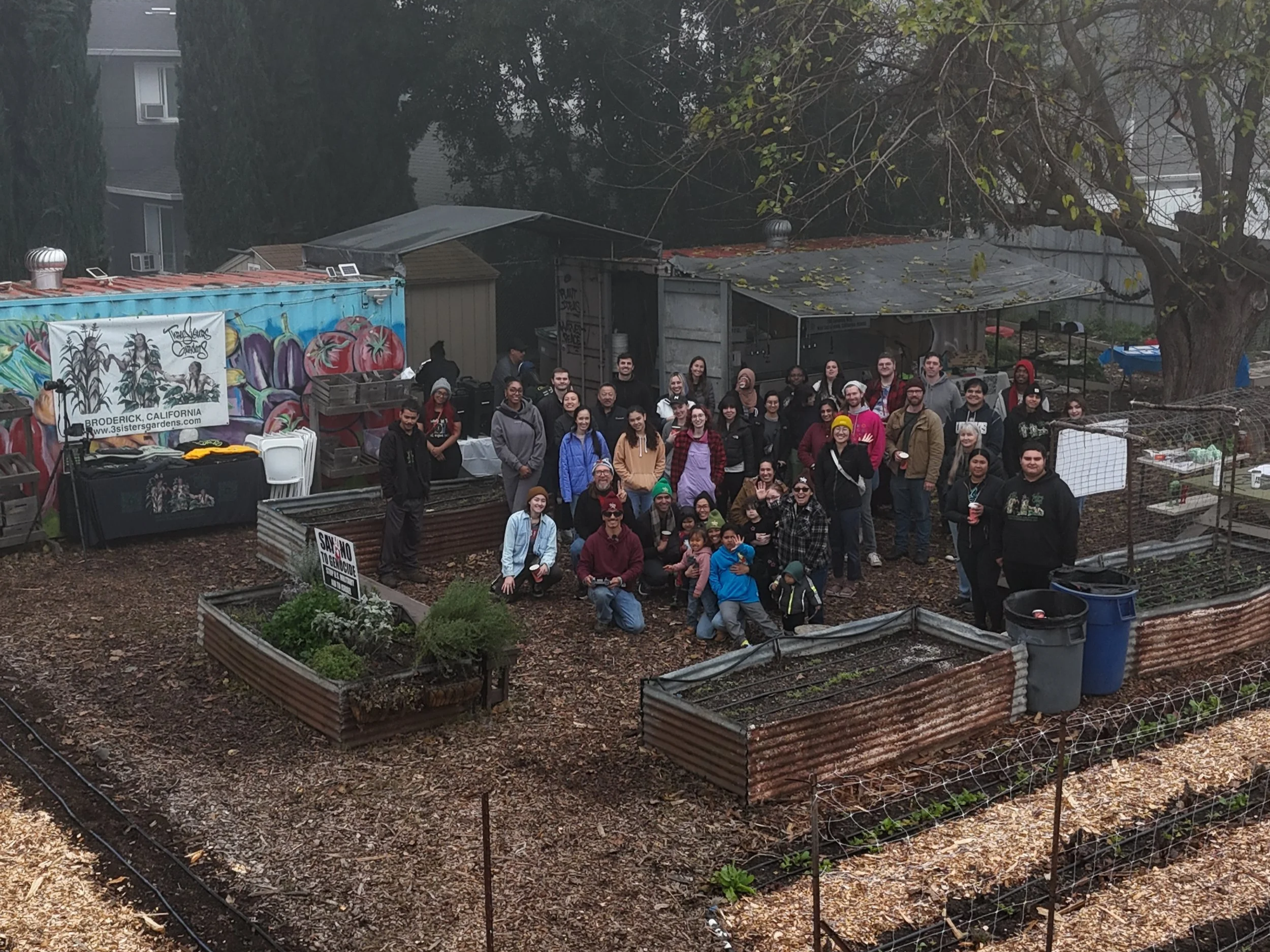 Knowledge Sharing Fun Under the Winter Fog - January Skills Share 2026 Recap