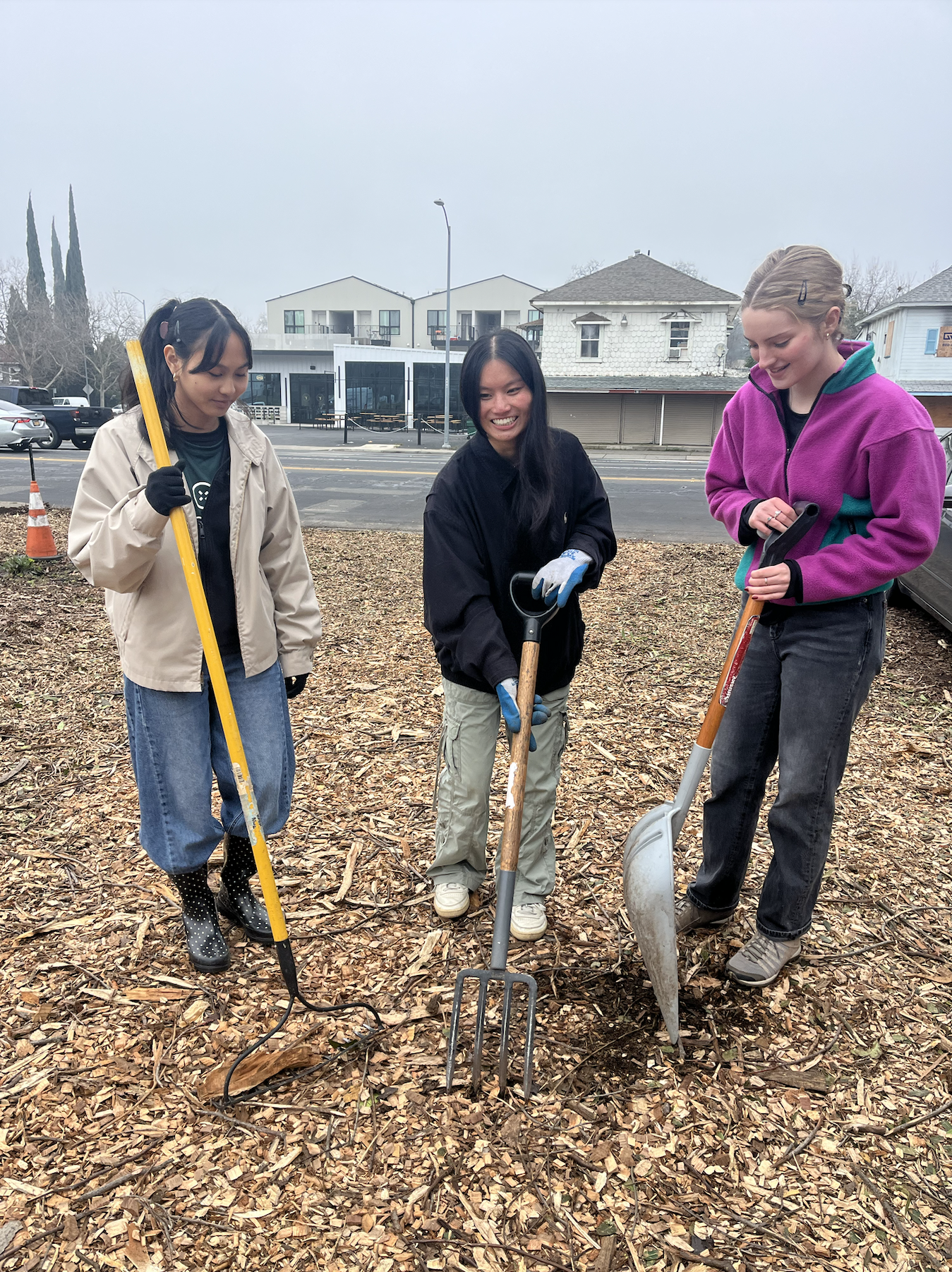 Screenshot 2026-01-22 at 08.53.45.png