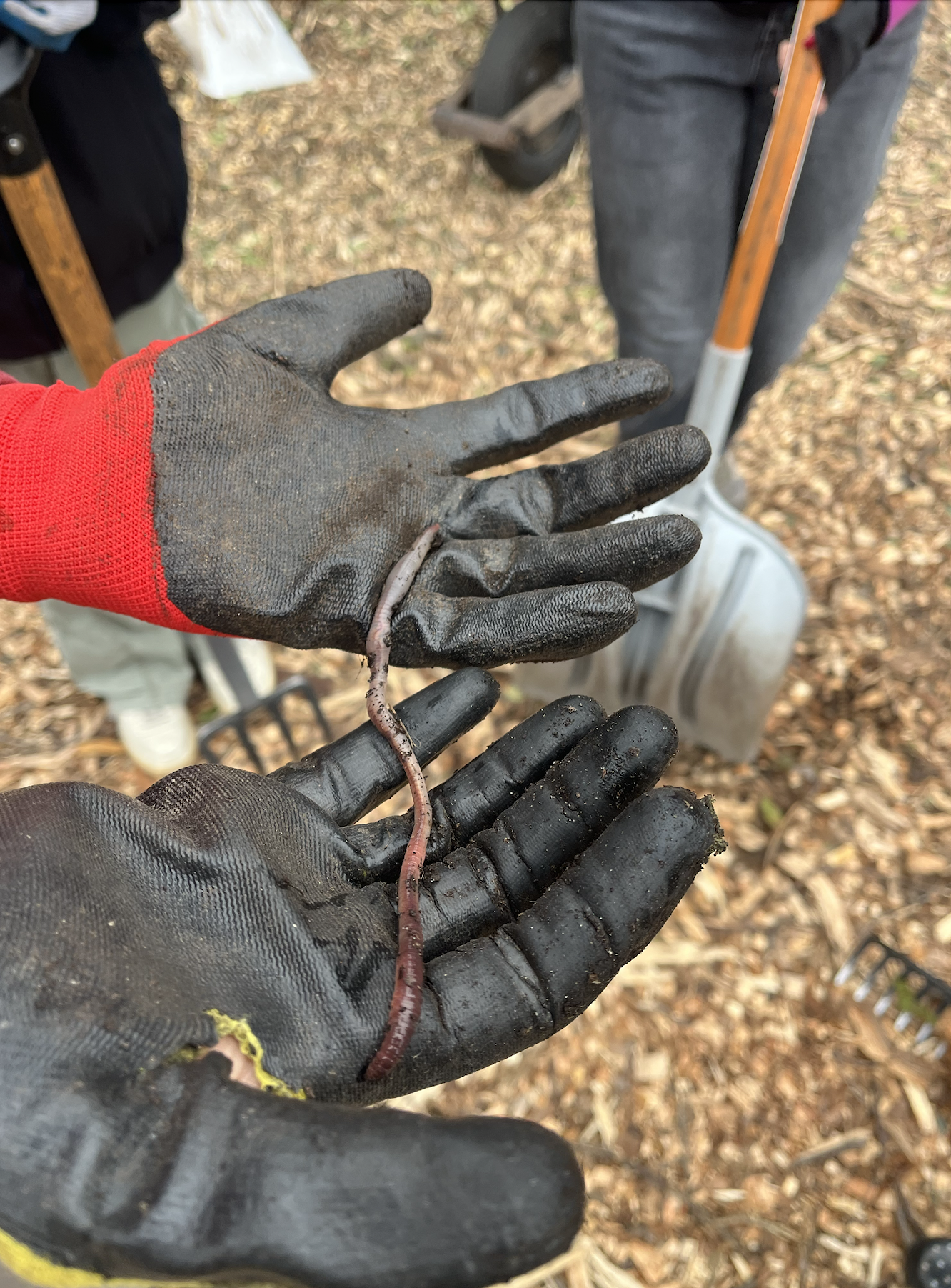 Screenshot 2026-01-22 at 08.53.59.png