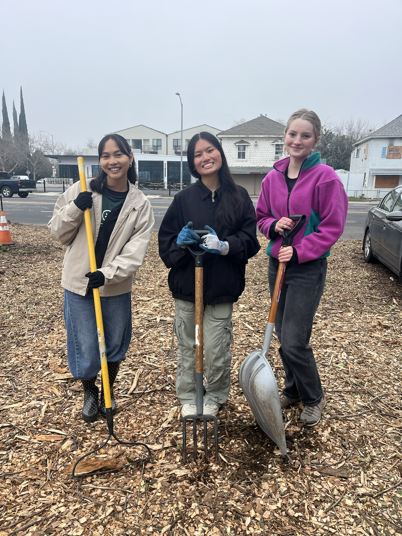 Screenshot 2026-01-22 at 08.53.52.png