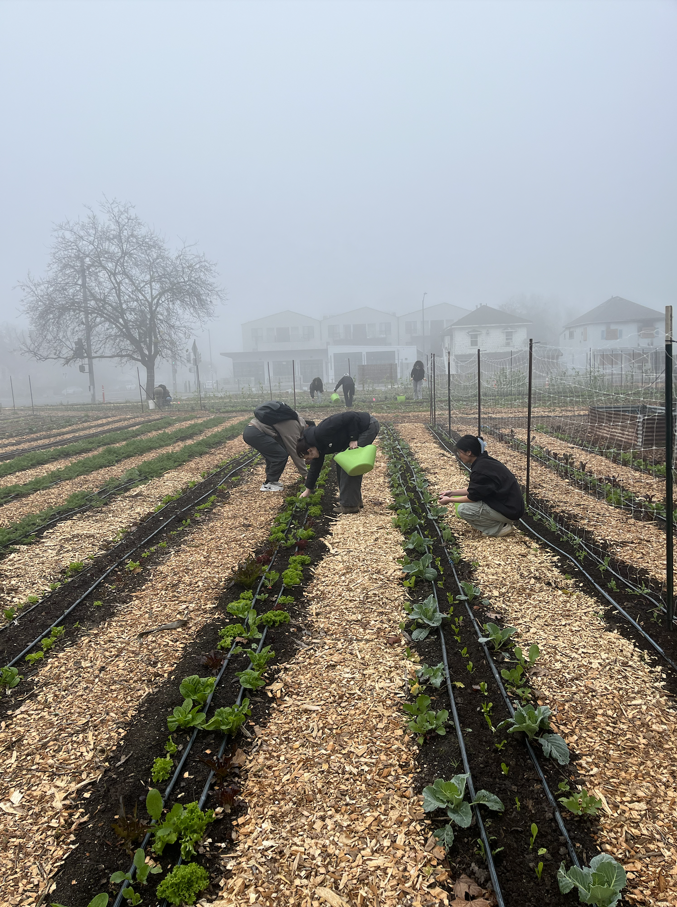 Screenshot 2026-01-22 at 08.54.29.png