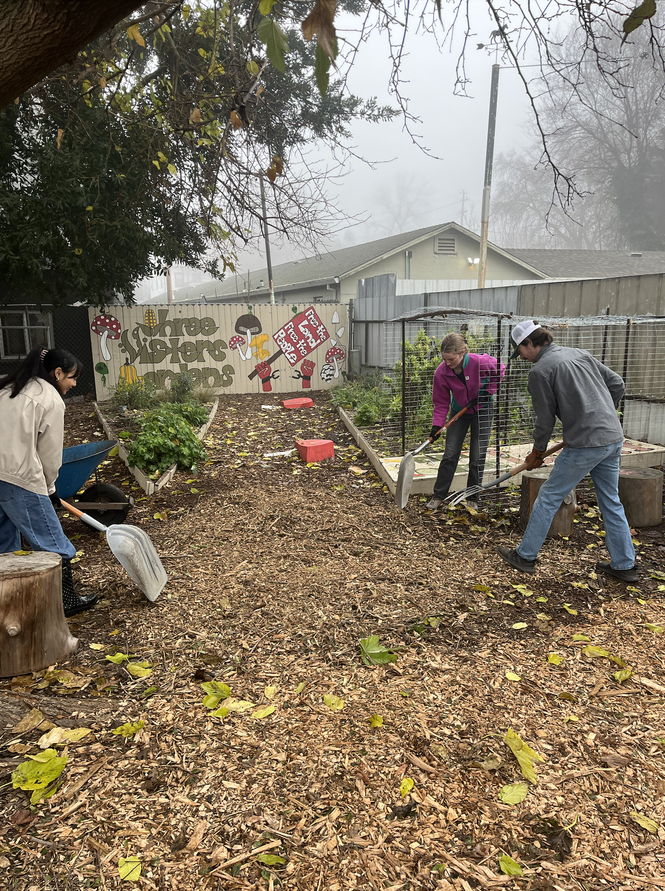 Screenshot 2026-01-22 at 08.54.23.png