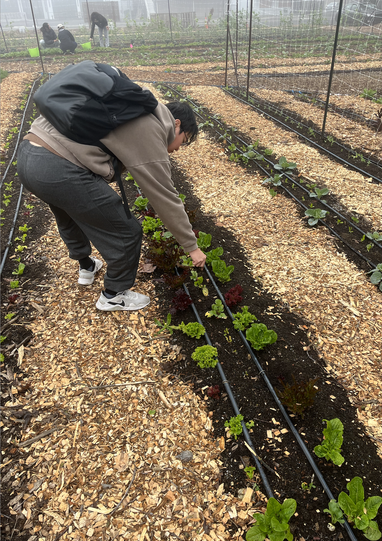 Screenshot 2026-01-22 at 08.54.39.png