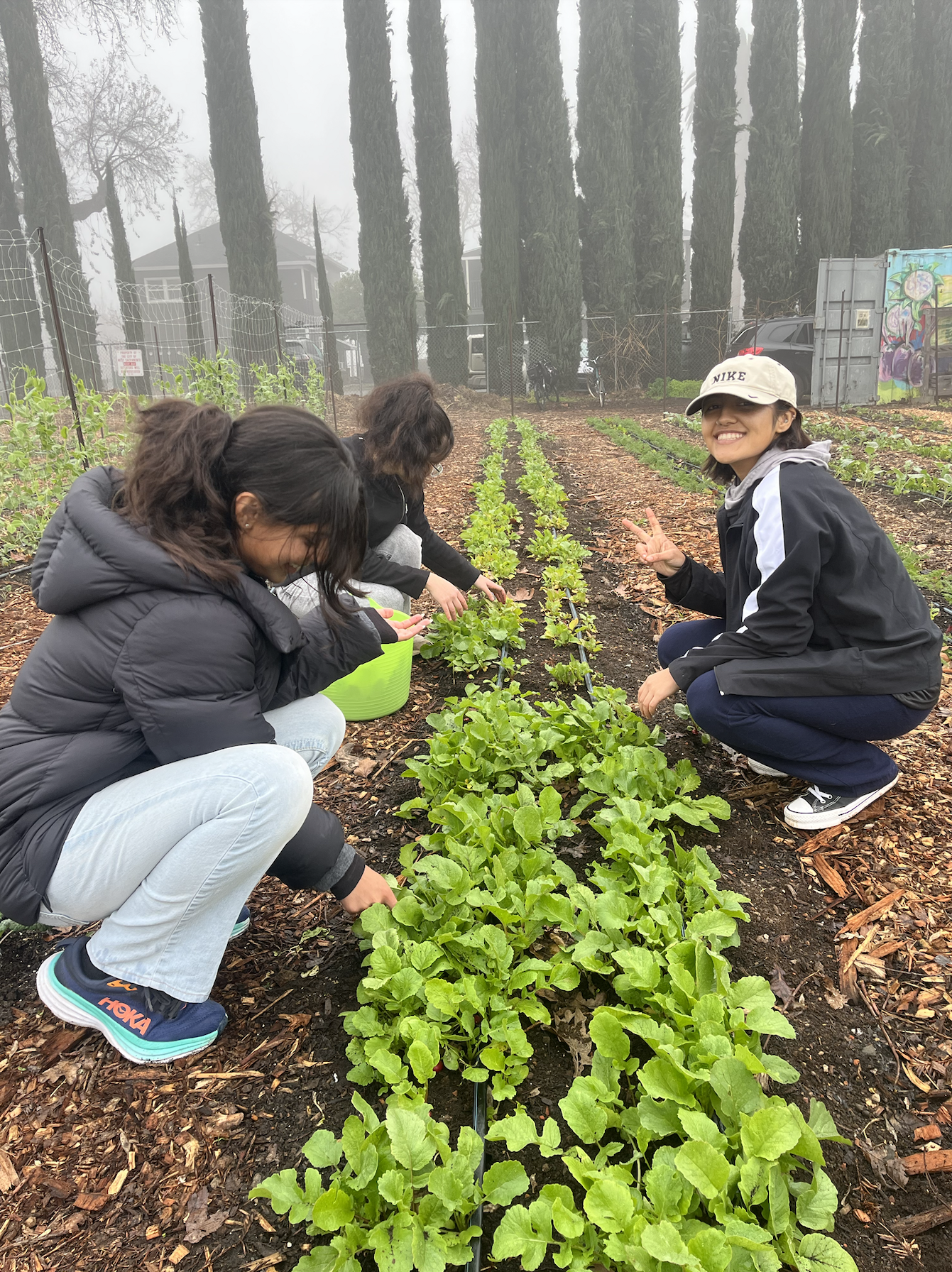 Screenshot 2026-01-22 at 08.54.55.png