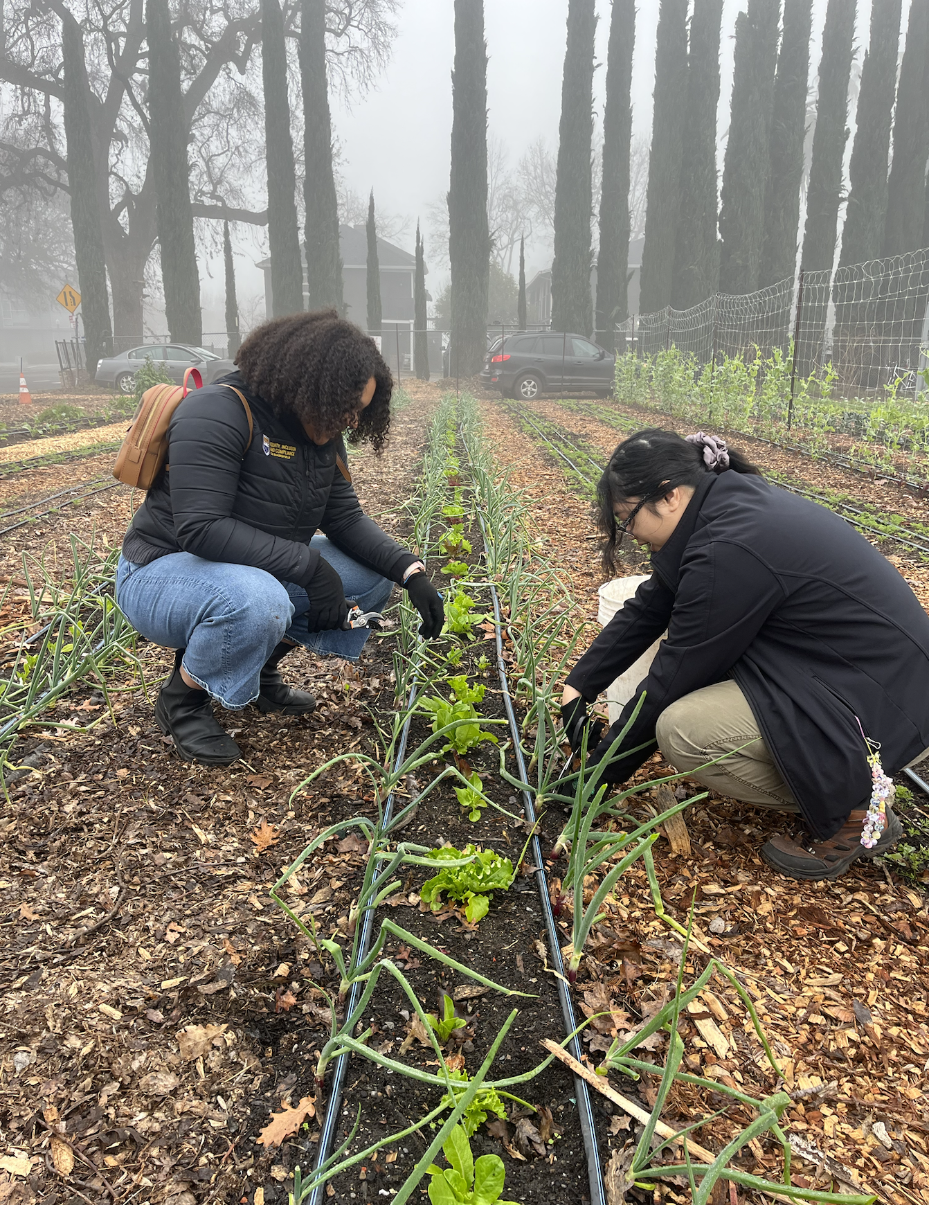 Screenshot 2026-01-22 at 08.55.00.png