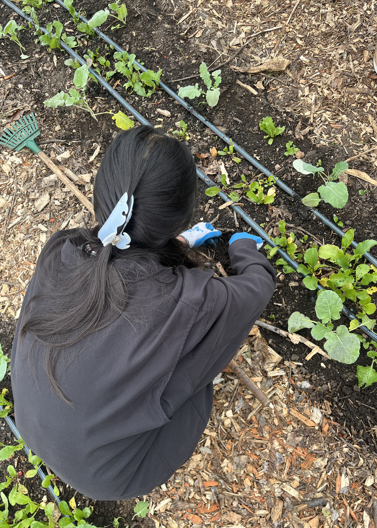 Screenshot 2026-01-22 at 08.55.24.png