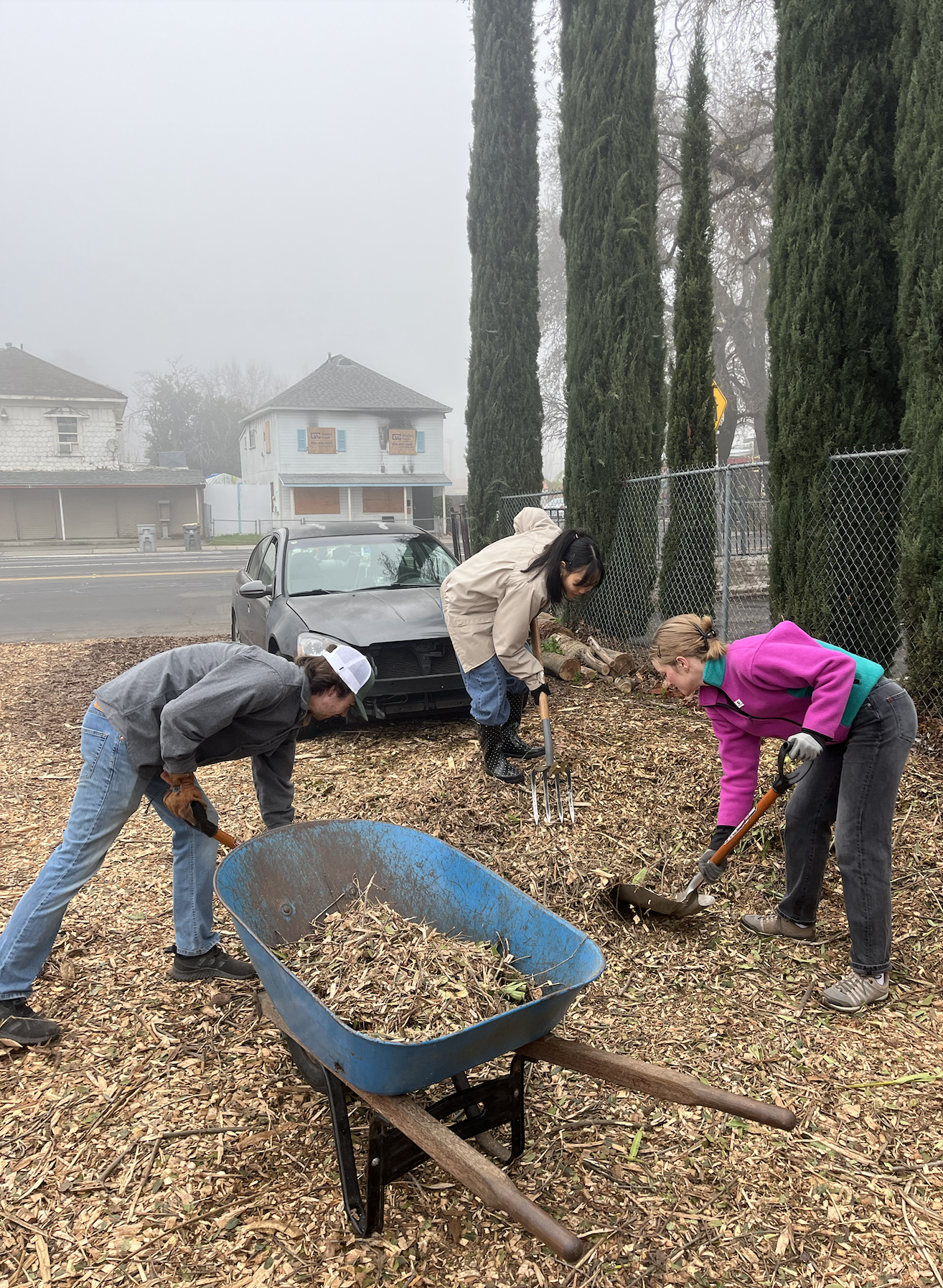 Screenshot 2026-01-22 at 08.55.31.png