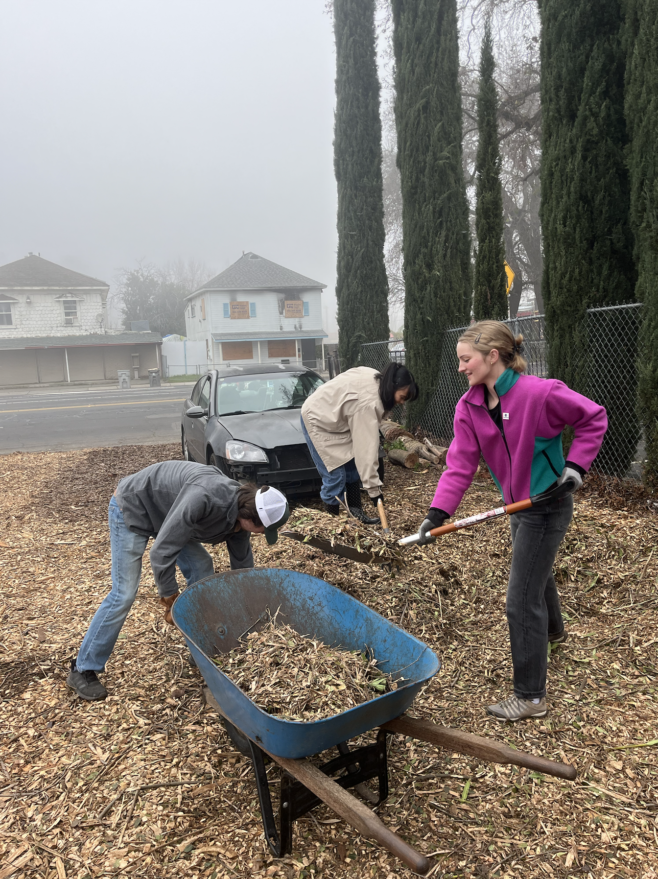 Screenshot 2026-01-22 at 08.55.36.png