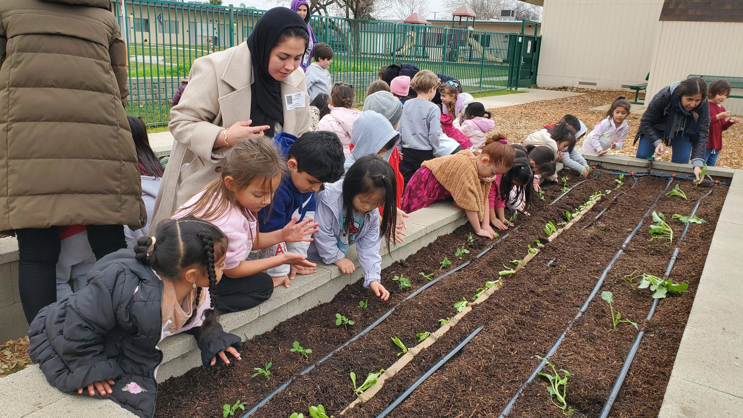 From Farm to Playground: Three Sisters Gardens plants a garden at Bell Avenue Elementary