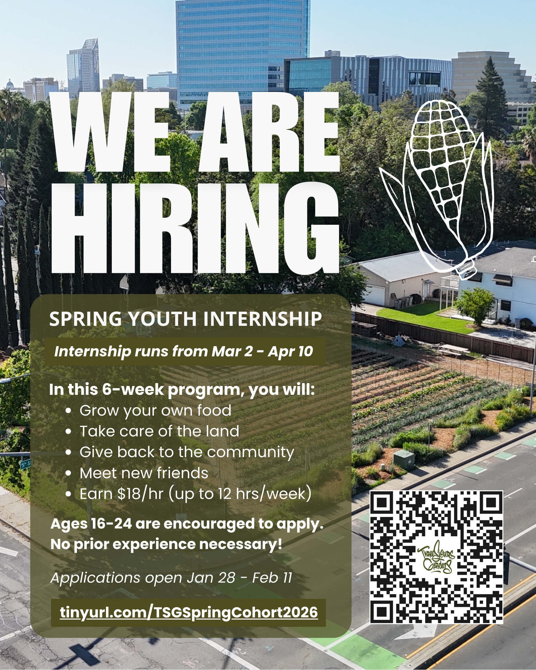 Apply for the Spring Youth Internship today!