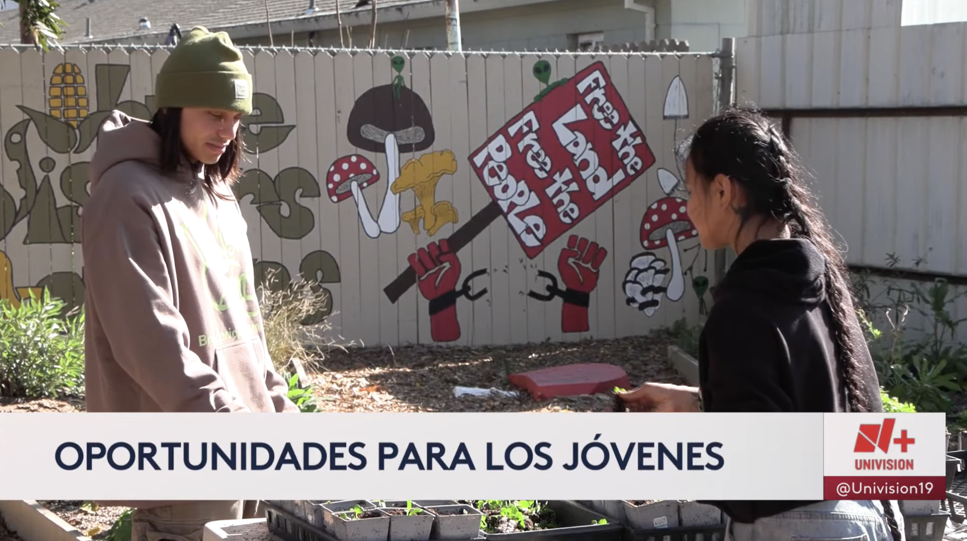 Solicita hoy mismo la pasantía juvenil de primavera