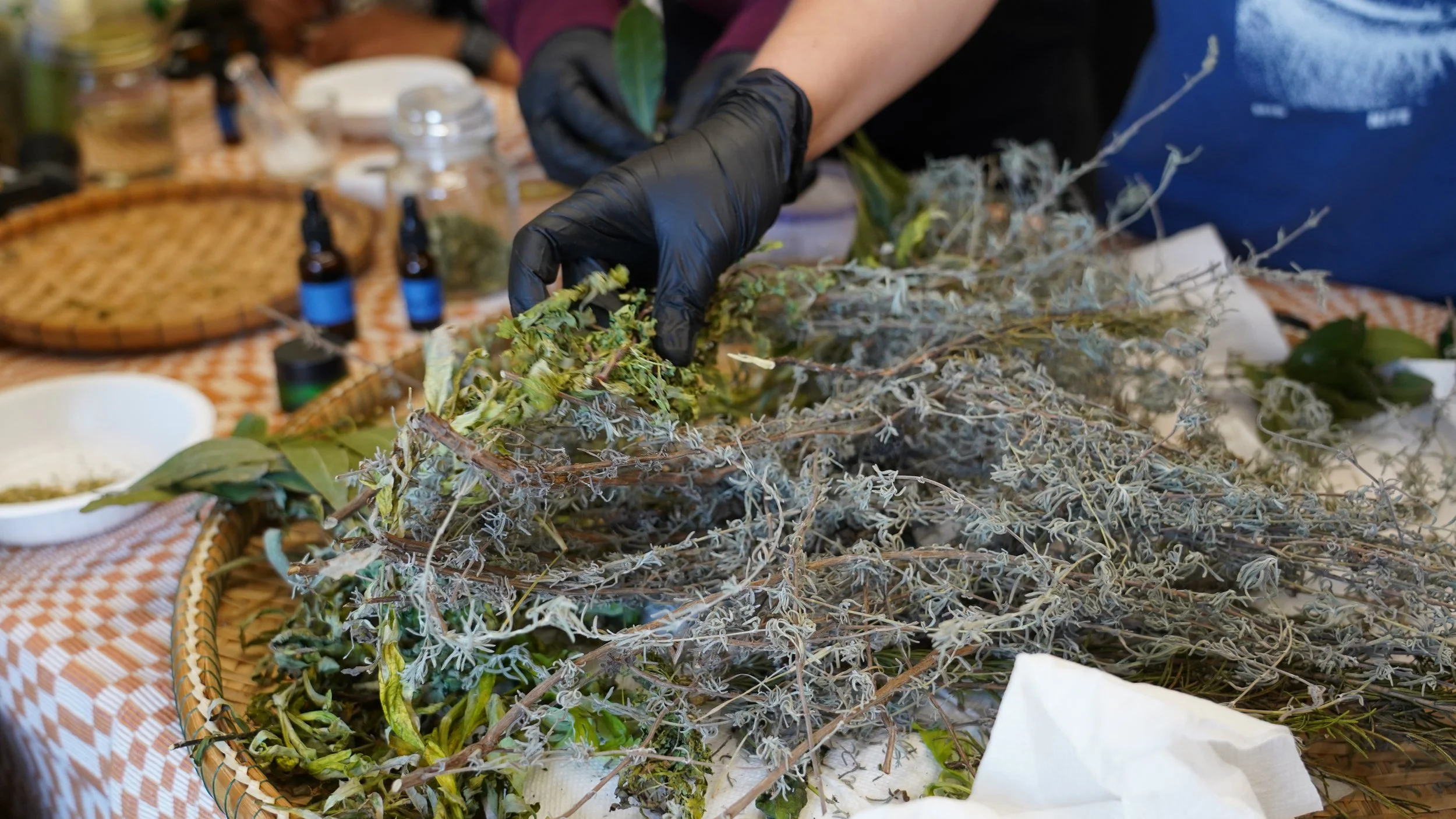 Breathe in the magic of plant medicines