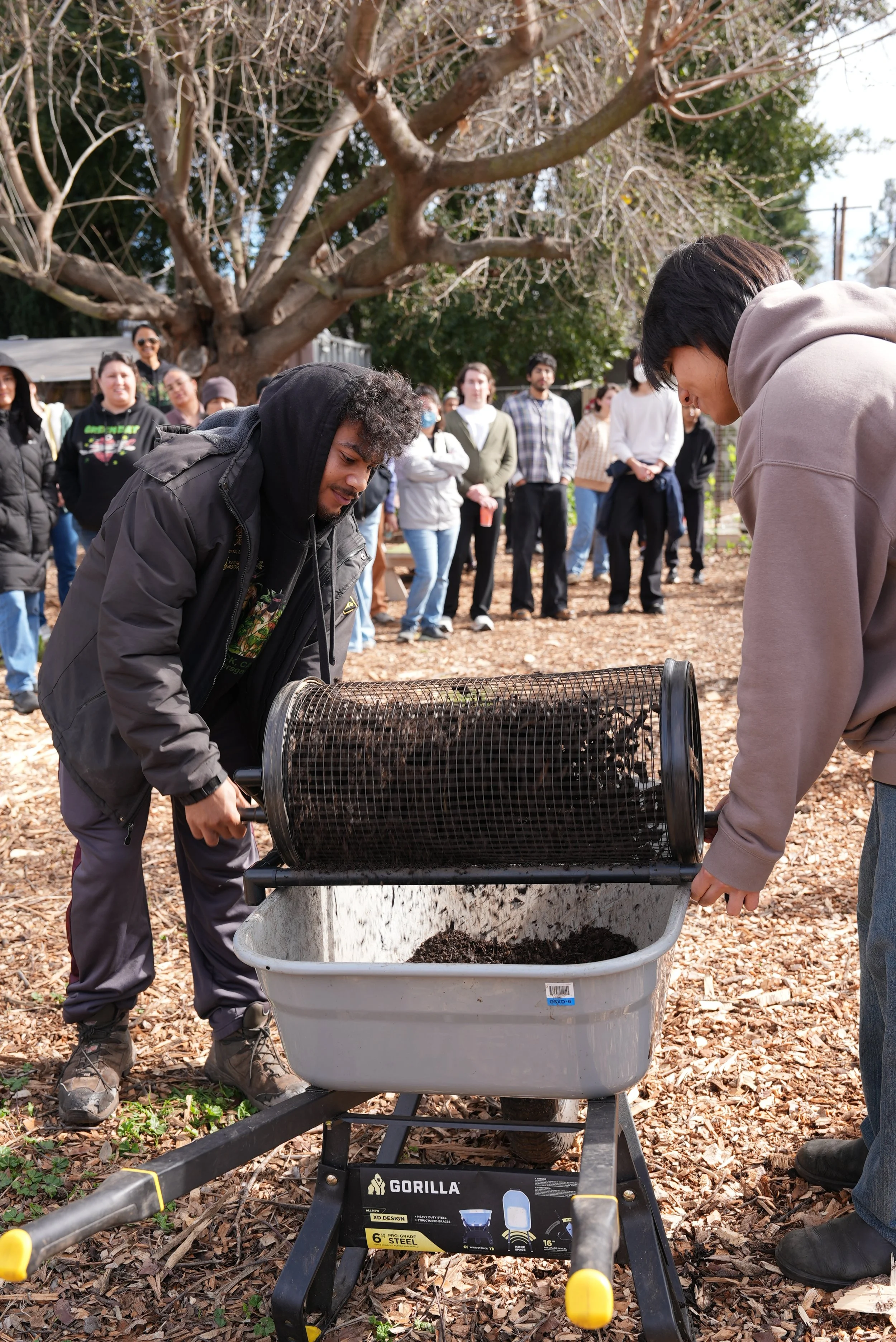 Digging In: Learning Composting, CA Native Plants, and Transplanting Together