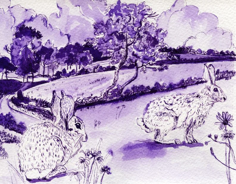RABBITS IN A DUTCH LANDSCAPE  
2012  
Ink on paper  	
3⅞” x 3½”  

