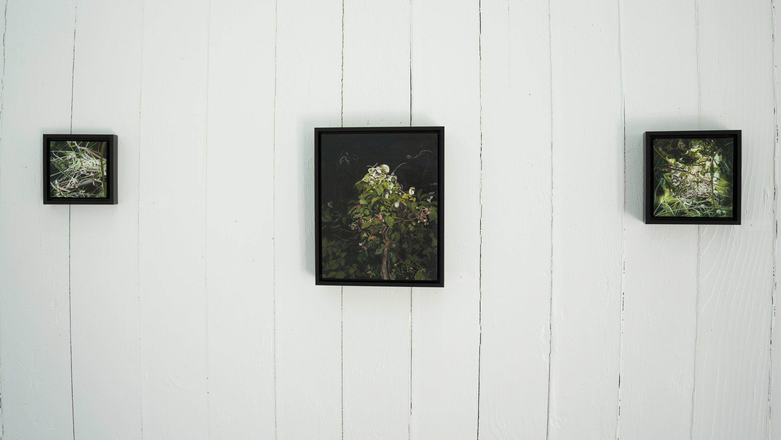 Low Door in the Wall/Underneath Redux/the Sound is Deep in situ