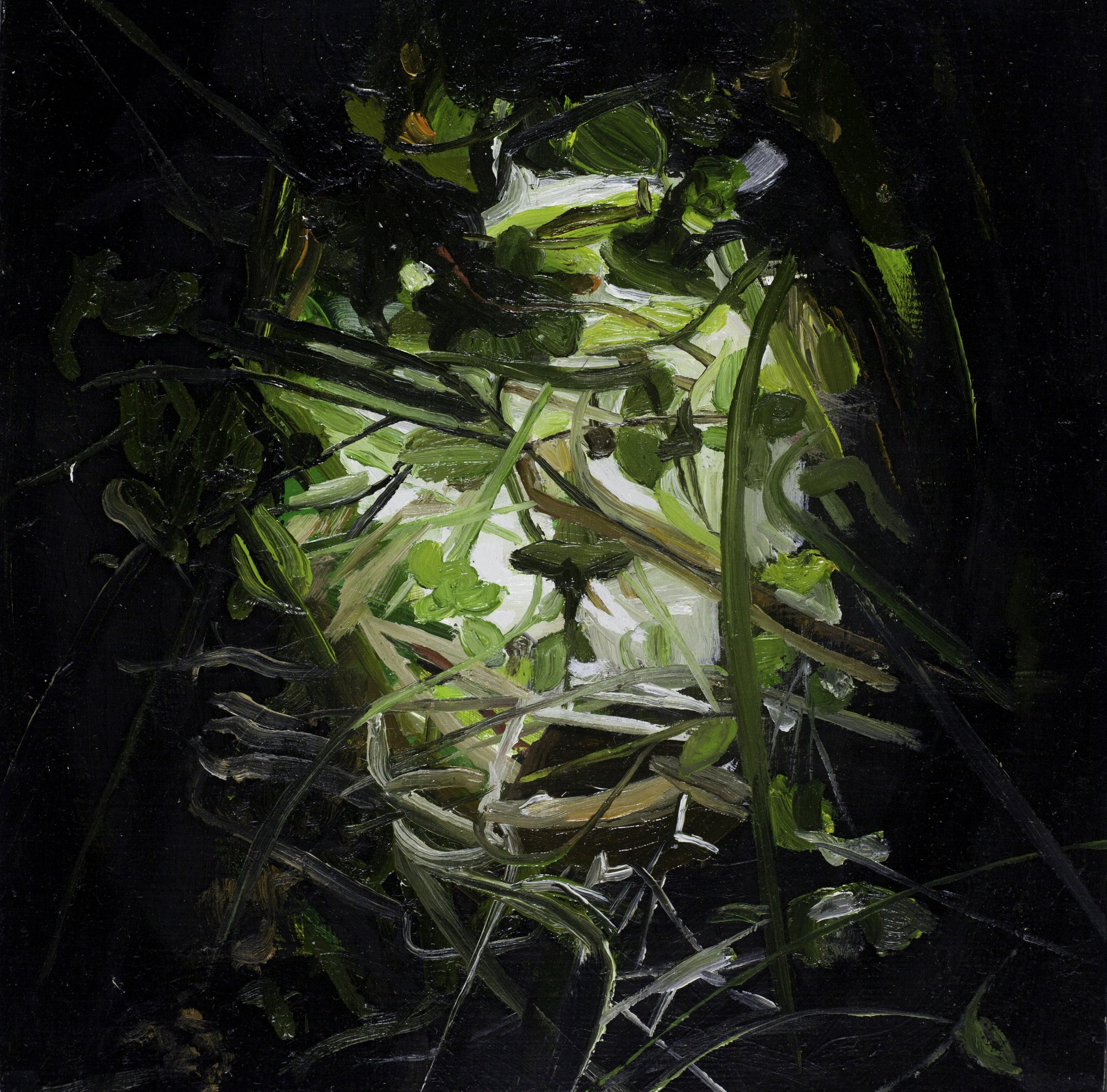 ILLUMINATION
2017
Oil on panel
5” x 5”