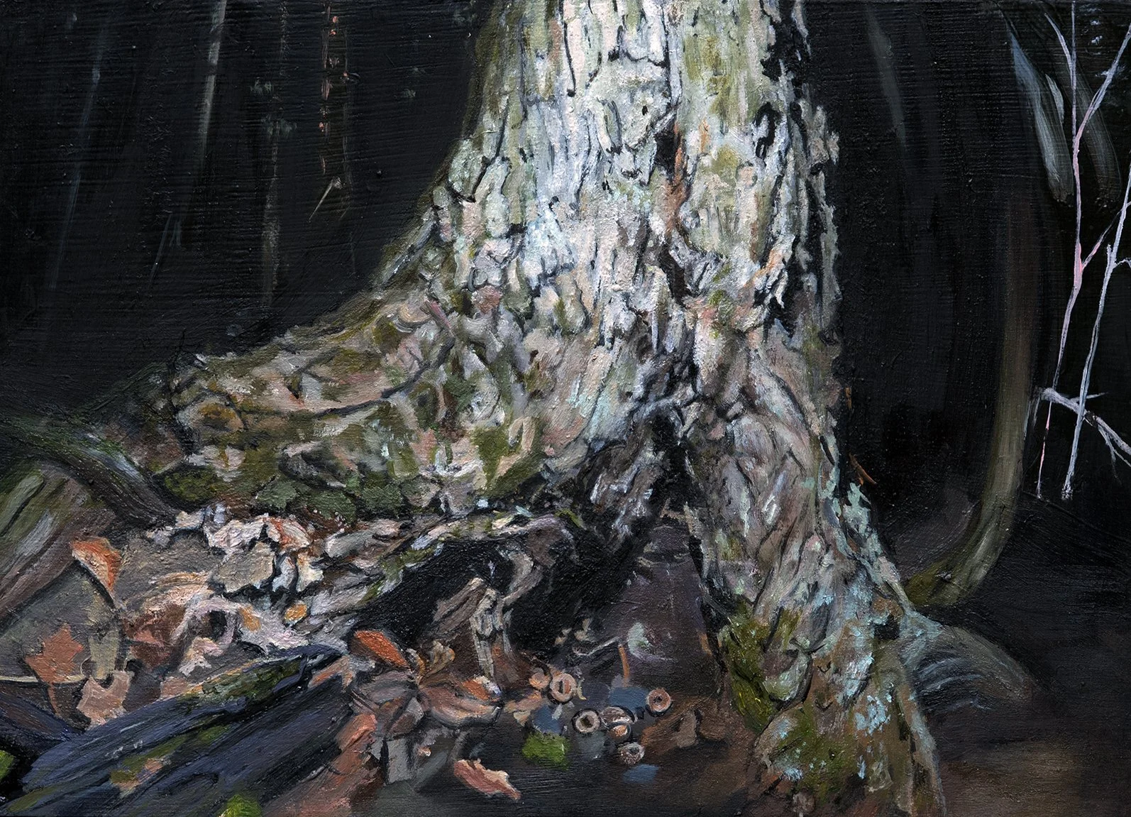 DUIR  
       2026  
       Oil on panel  
       5” x 7”