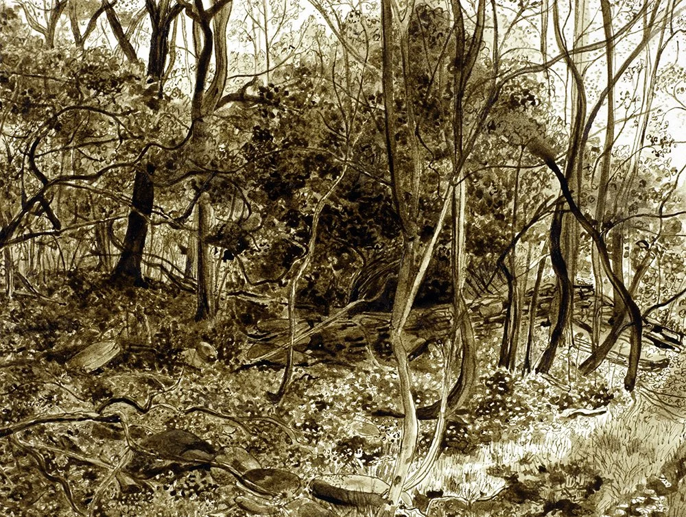 HALF HID IN THE GLEAMING WOOD  
2016  
Ink on paper  
5½” x 7¼”  
