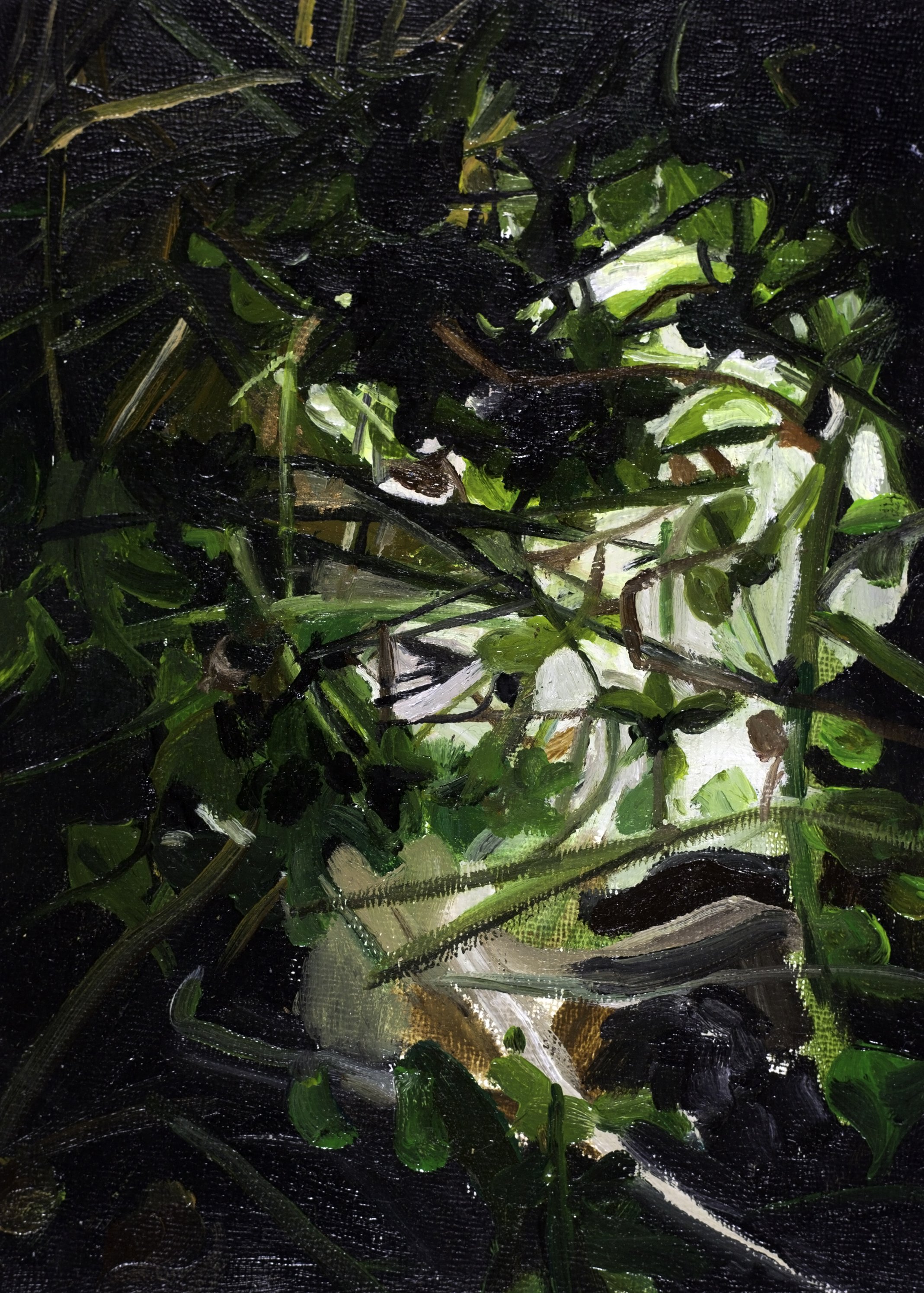 TUNNEL
2016
Oil on board
7” x 5”