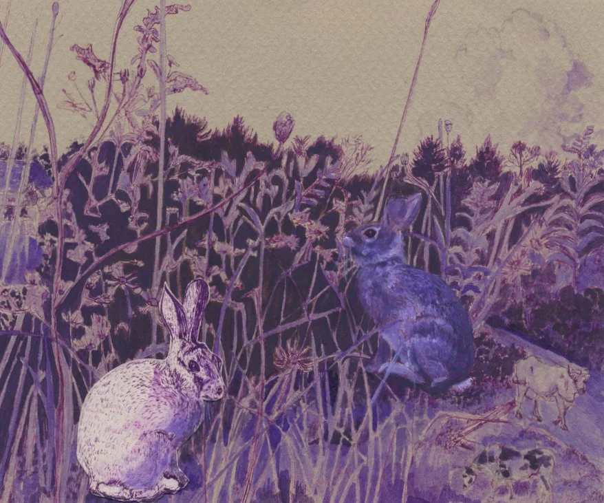 TWO RABBITS WITH TWO COWS  
2012  
Ink and gouache on paper  	
5” x 5⅞”  
