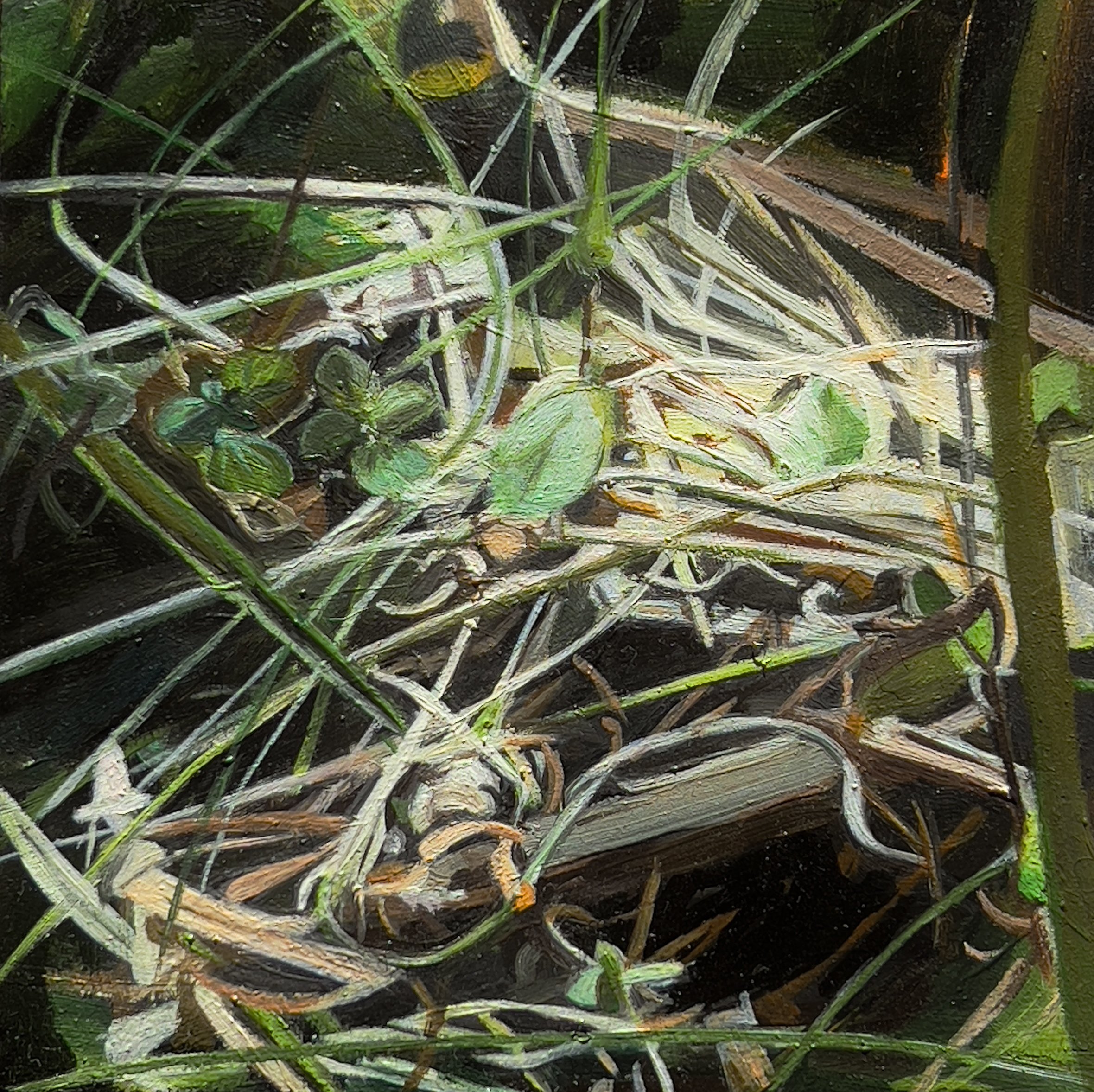 LOW DOOR IN THE WALL
2023
Oil on panel
5” x 5”
