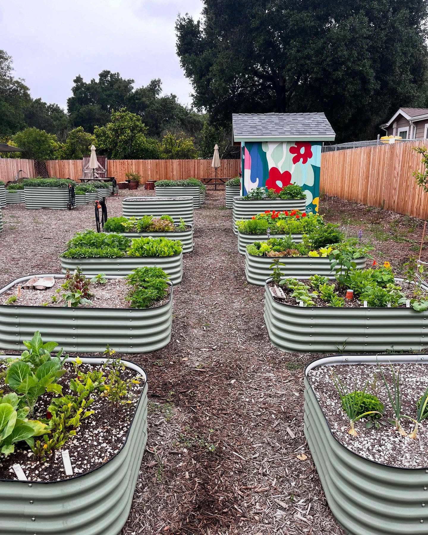 🌱 Our garden beds are POPPIN&rsquo;! Veggies, flowers, herbs &mdash; oh my! 💐🍅🌿

We&rsquo;ve got fresh soil, good vibes, and a whole lotta sunshine ready for YOU. Whether you&rsquo;re a total newbie or a seasoned plant parent, there&rsquo;s a plo