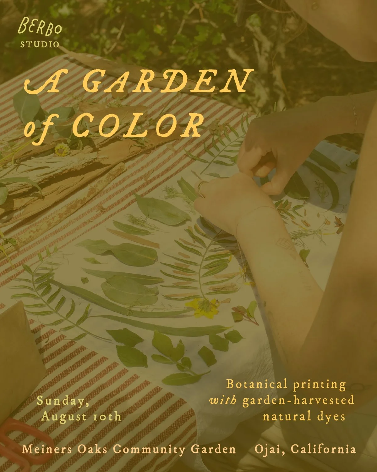 A Garden of Color