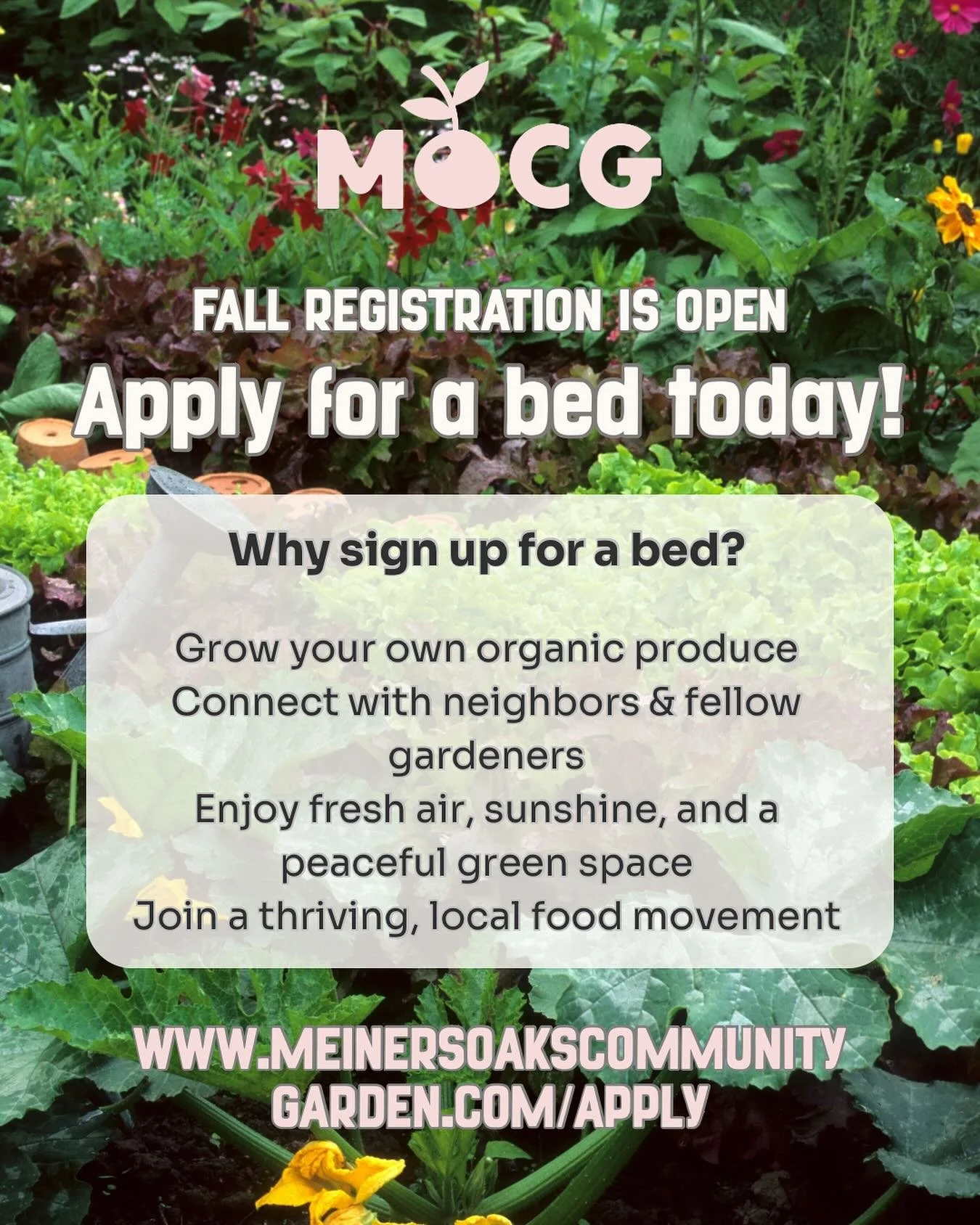 🌱 Grow With Us at Meiners Oaks Community Garden! 🌱
Looking for a space to grow your own fresh veggies, herbs, and flowers? 🌿🍅🌸 Now&rsquo;s your chance! Fall registration is open and we have garden beds available, and we&rsquo;d love for YOU to j