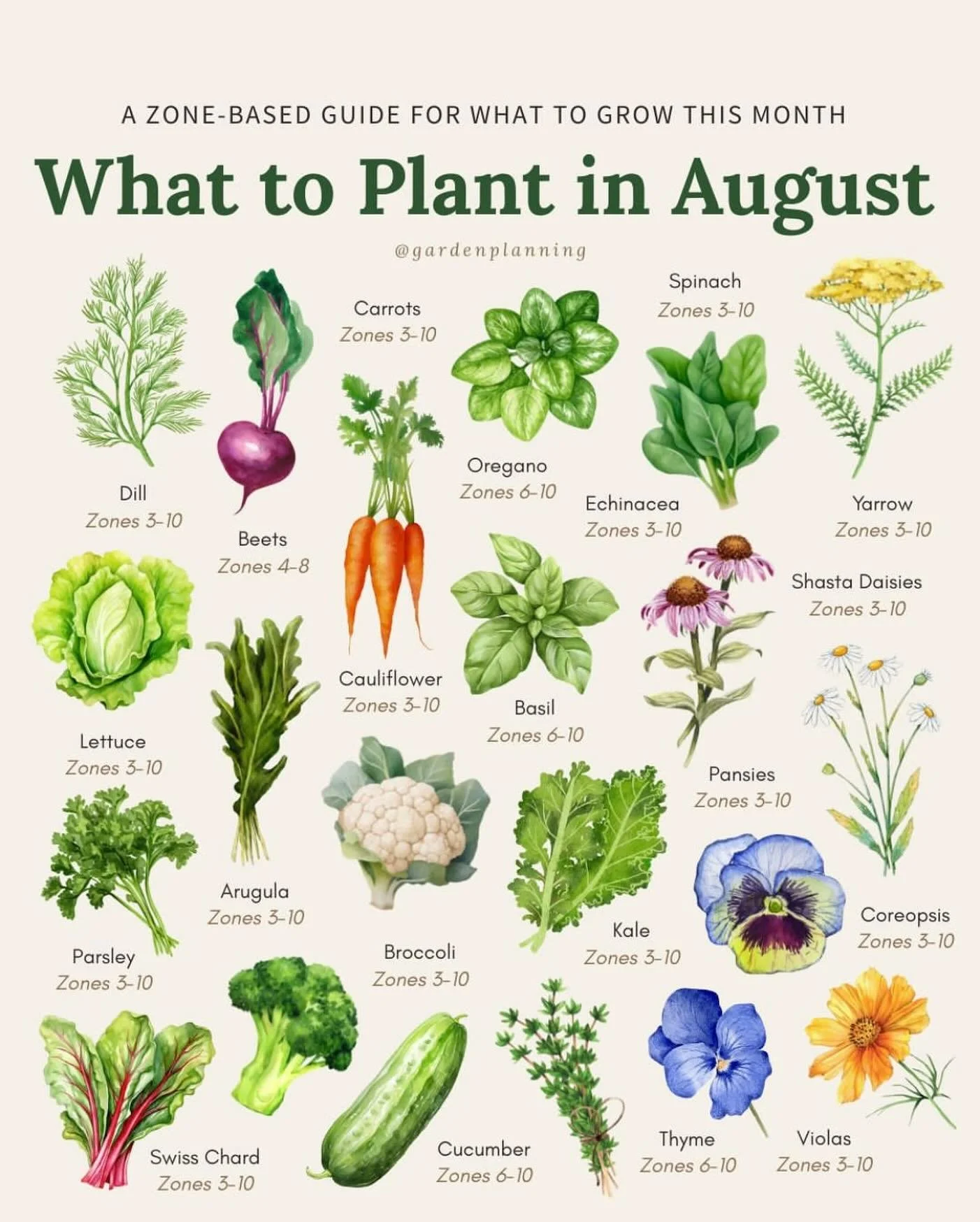 Not sure what to plant next or can grow this fall in California? Check out this lovely graphic from @gardenplanning ! Not sure WHERE to grow these delights? 

🌱 Fall Garden Memberships Are Open at Meiners Oaks Community Garden! 🌱
September 1 &ndash