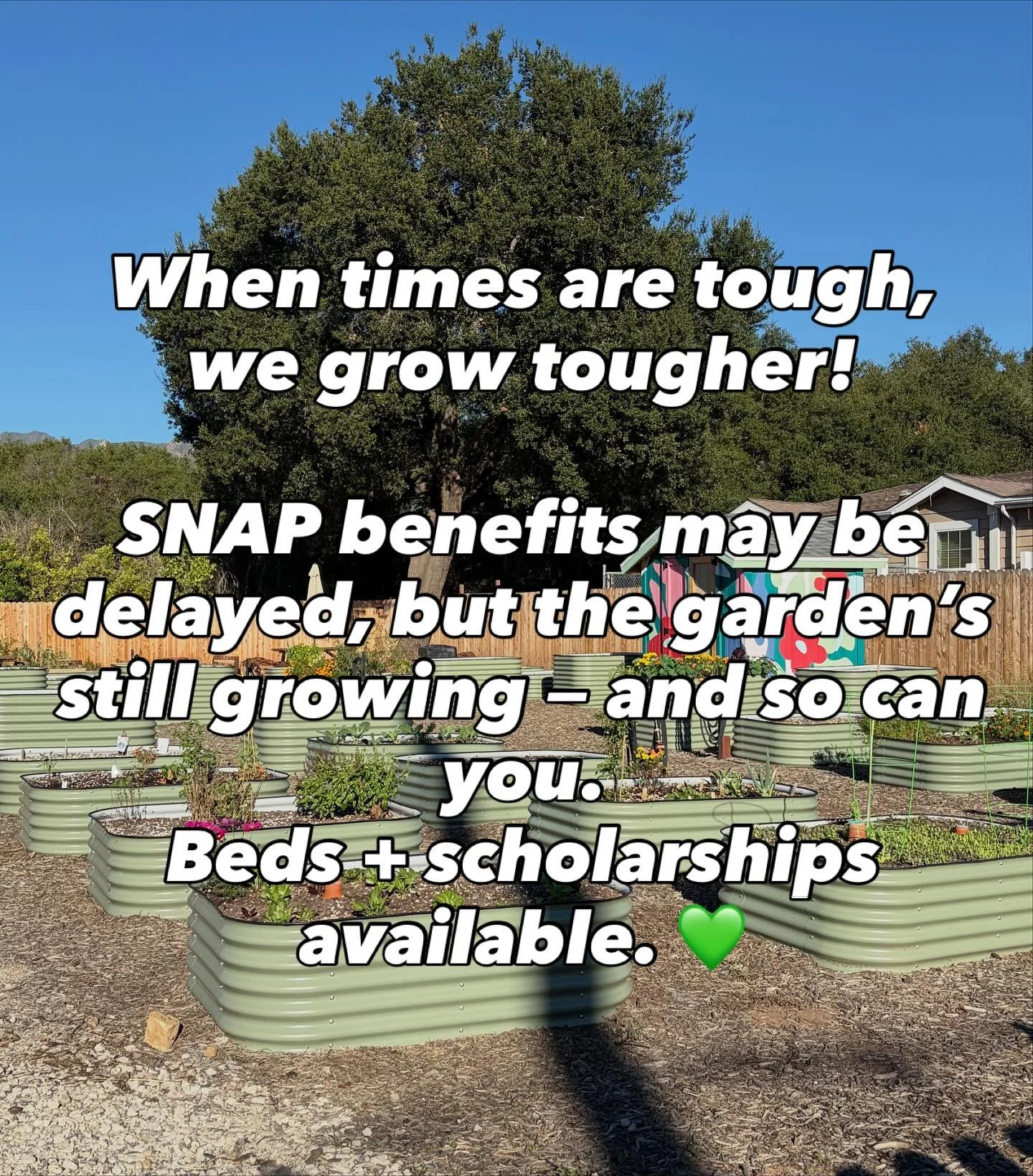 🪴 Growing food is a revolutionary act. 🌿

We&rsquo;ve heard that SNAP benefits have been delayed this month &mdash; if that&rsquo;s affecting you or someone you know, please reach out. Meiners Oaks Community Garden still has open garden beds and SC