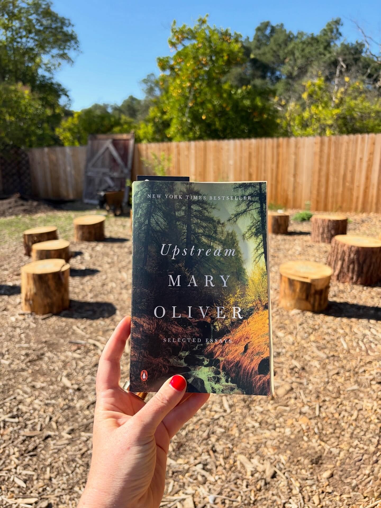 THIS WEEKND IN THE GARDEN! Join us under the oaks for an afternoon of reflection and connection as we dive into Upstream by Mary Oliver &mdash; the perfect cozy fall read. 🌿
📚 Sunday, November 9 | 3&ndash;4 PM 📍 307 S Padre Juan

This collection o
