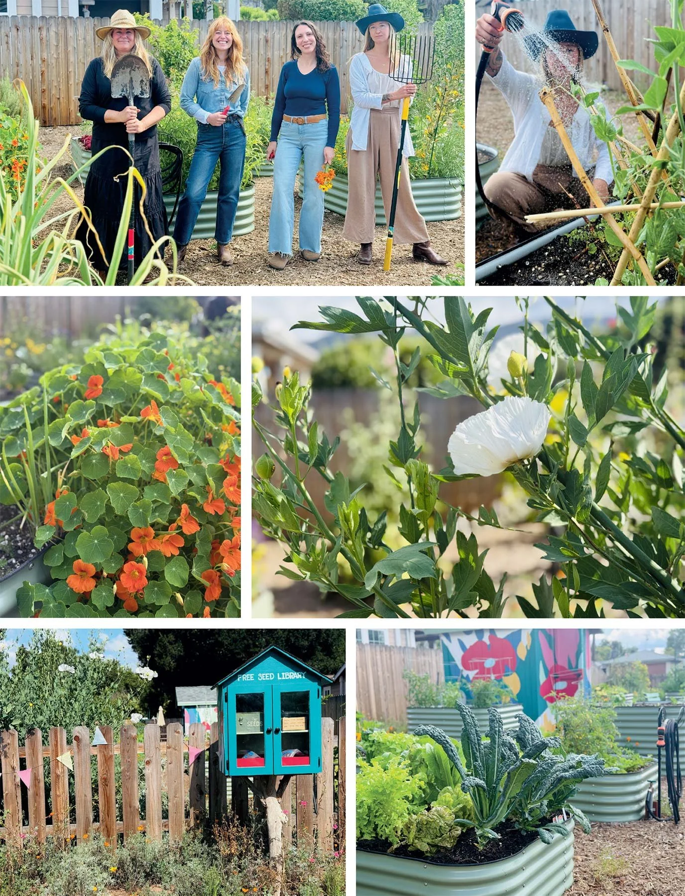 EDIBLE OJAI & VENTURA COUNTY - SPRING/SUMMER 2026

A Secret Garden: How one woman’s vision turned a vacant lot into a community oasis