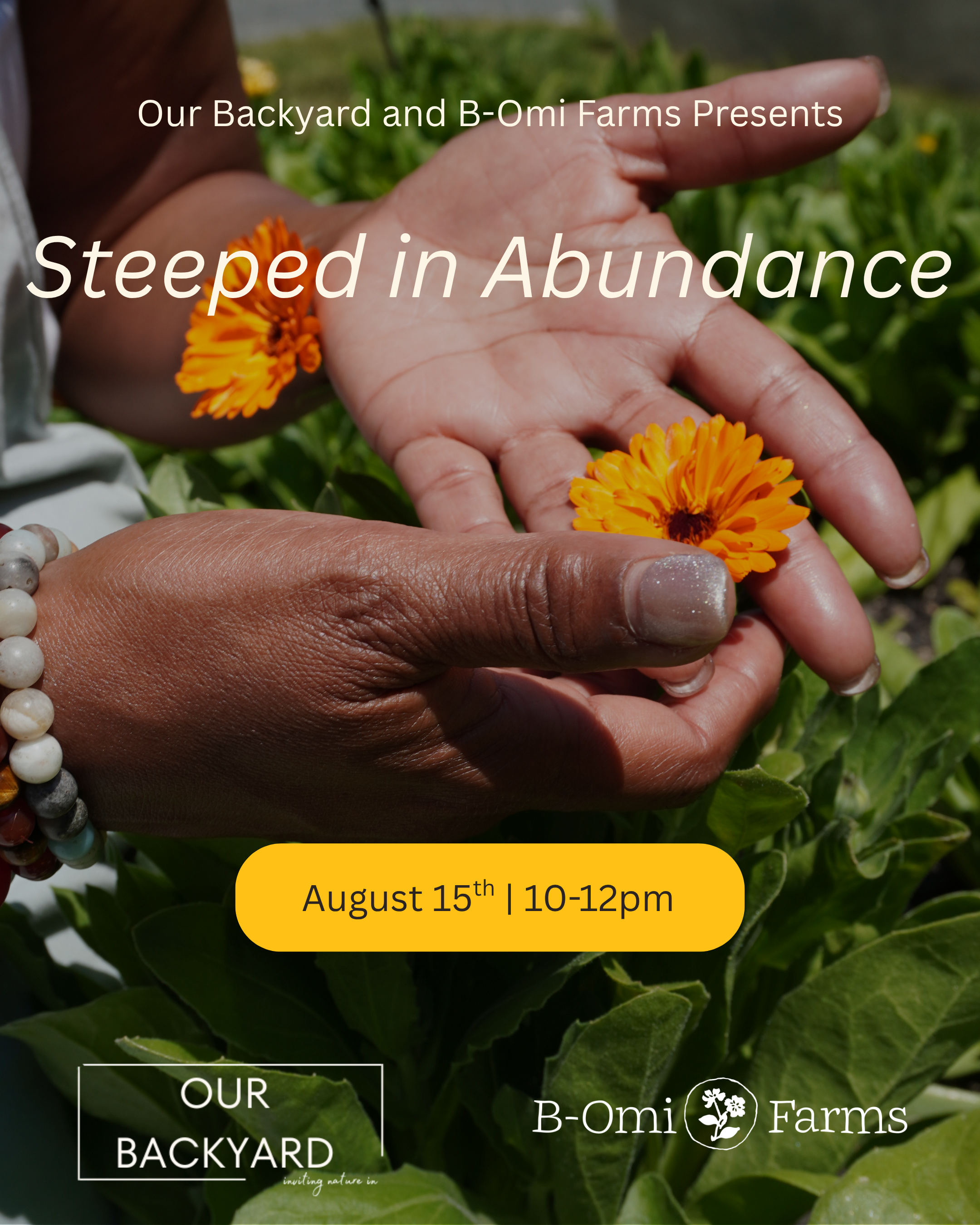Steeped In Abundance Herbalism Workshop