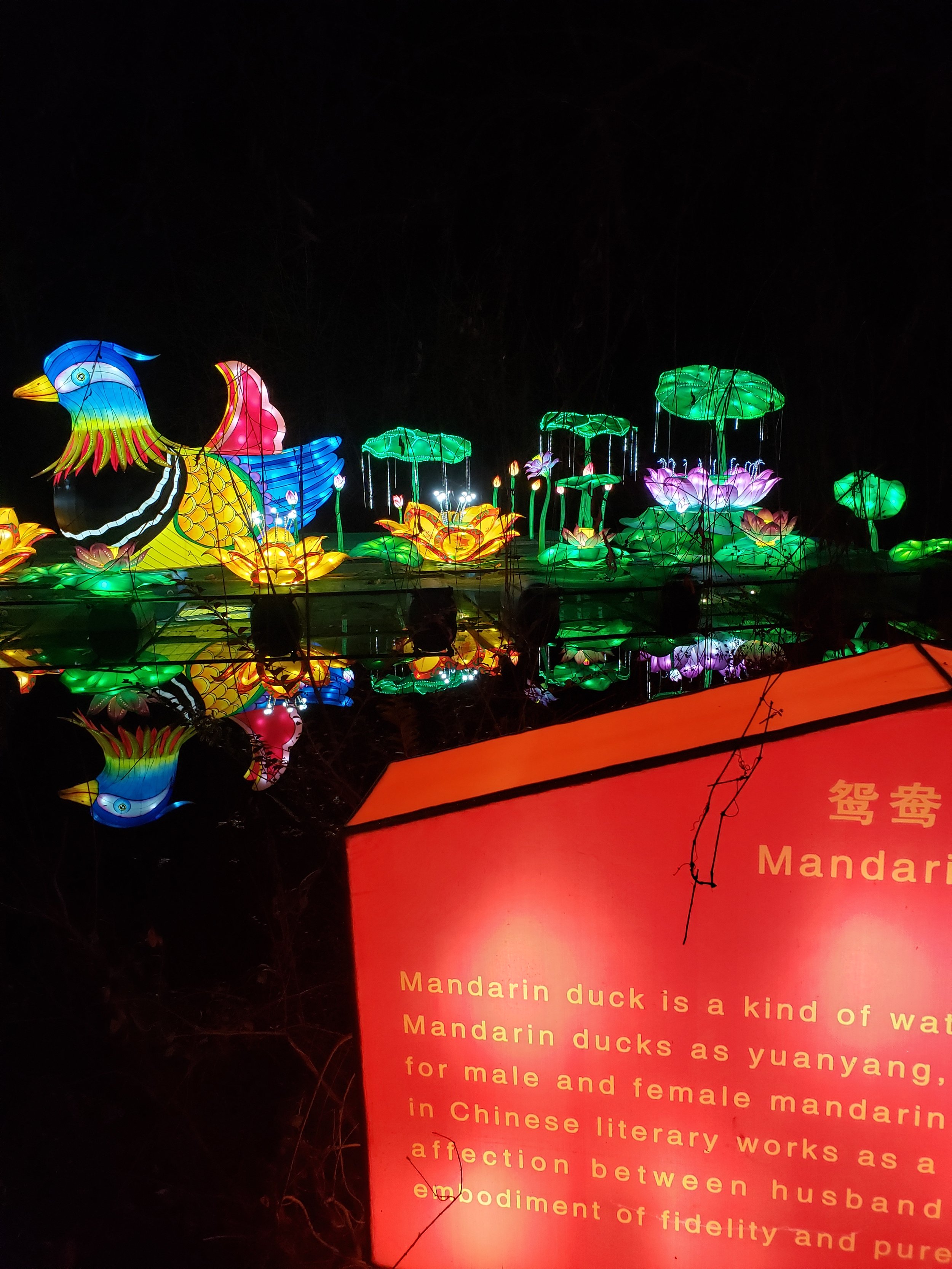 20191214_193929.jpg