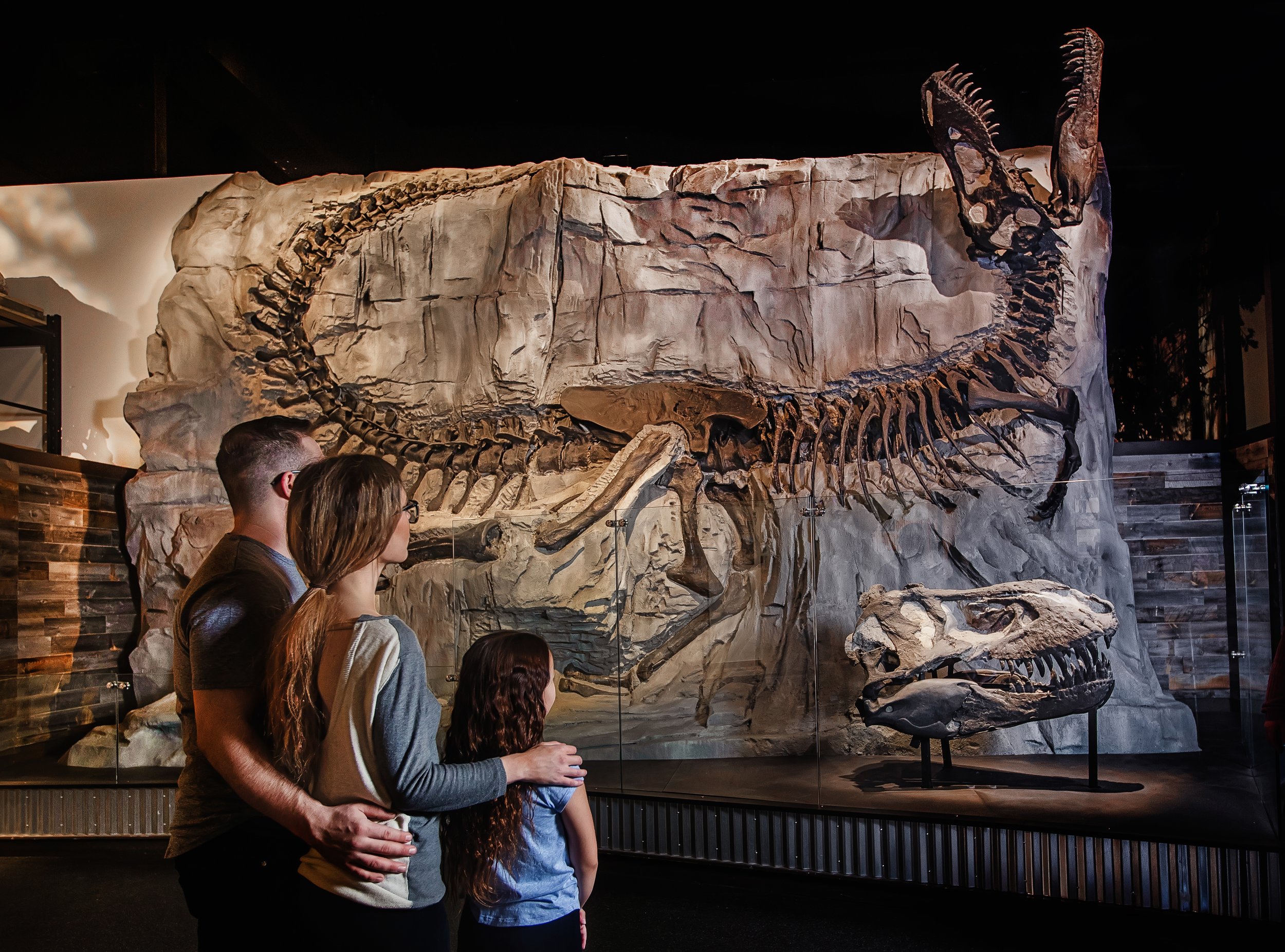 Group of people looking at a large dinosaur fossil on display in a museum.