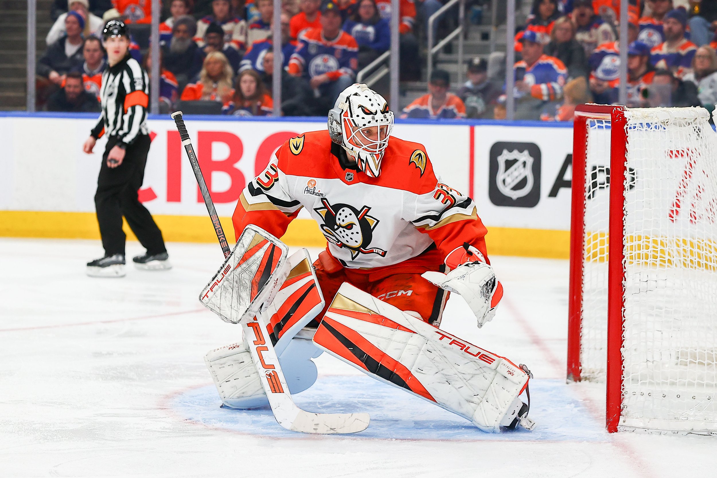 NHL _3.jpg