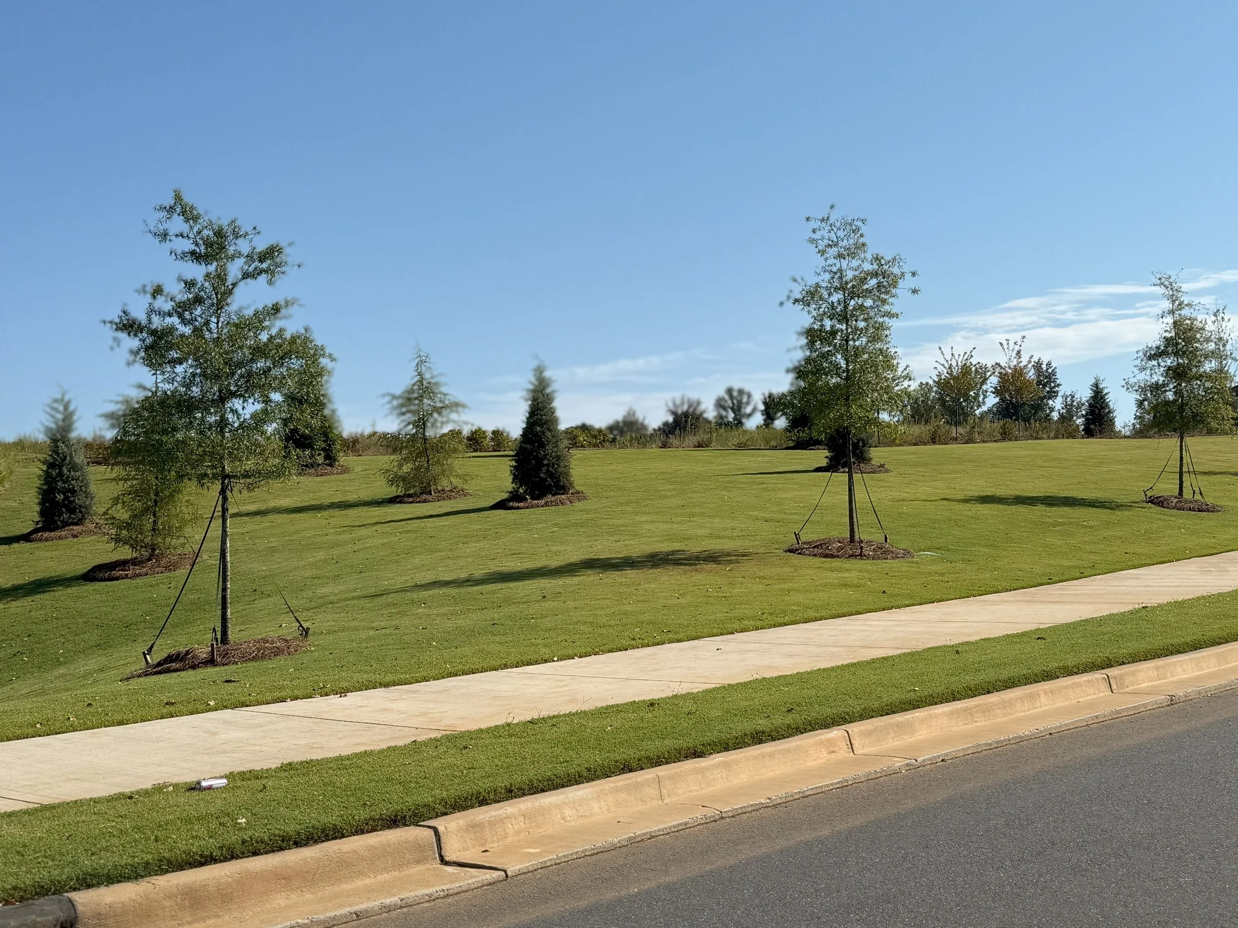 Roselyn Open Space