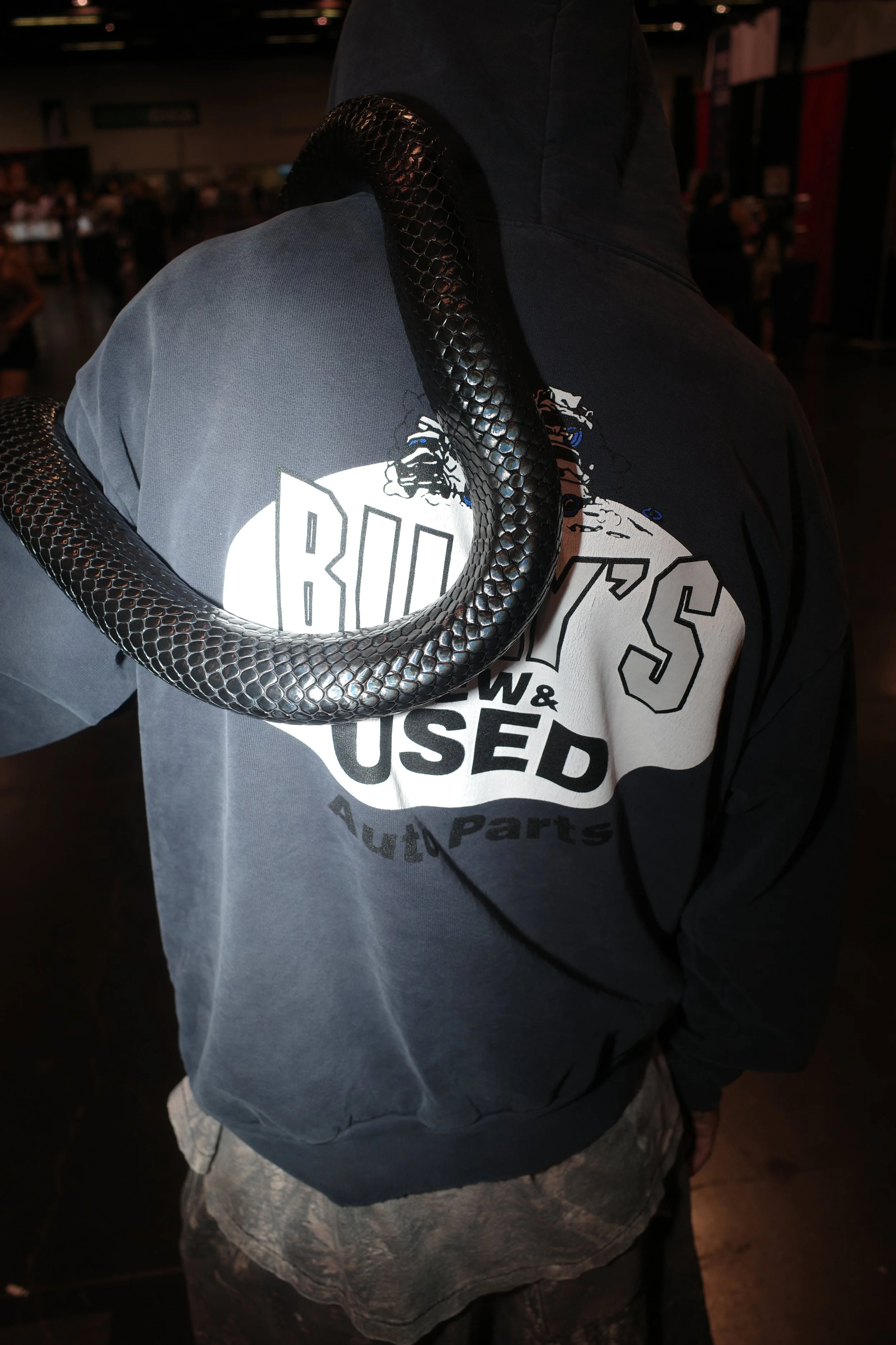 A black snake wrapped around a person's shoulder and neck in an indoor setting.