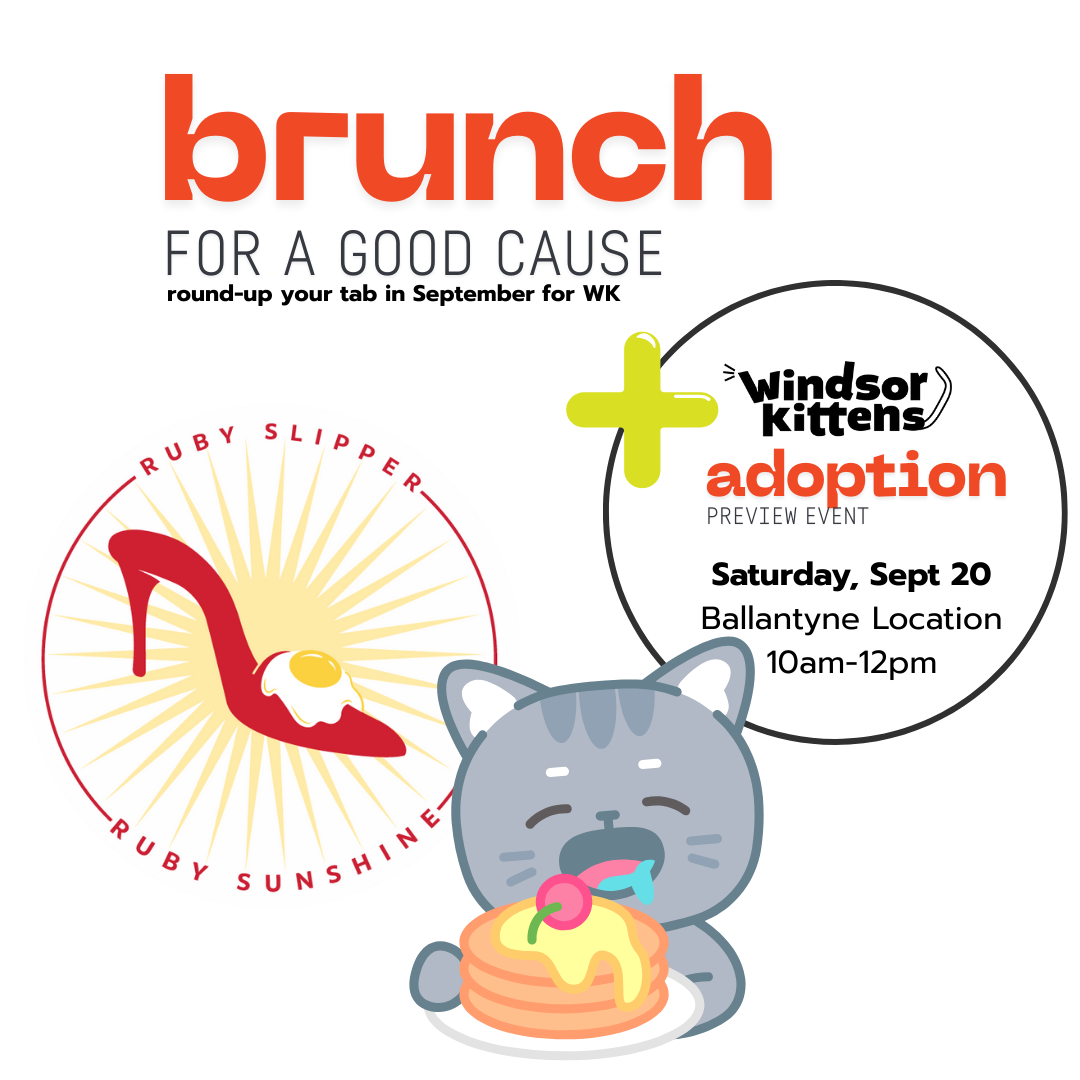 Ruby Sunshine (Ballantyne) Adoption Preview Event