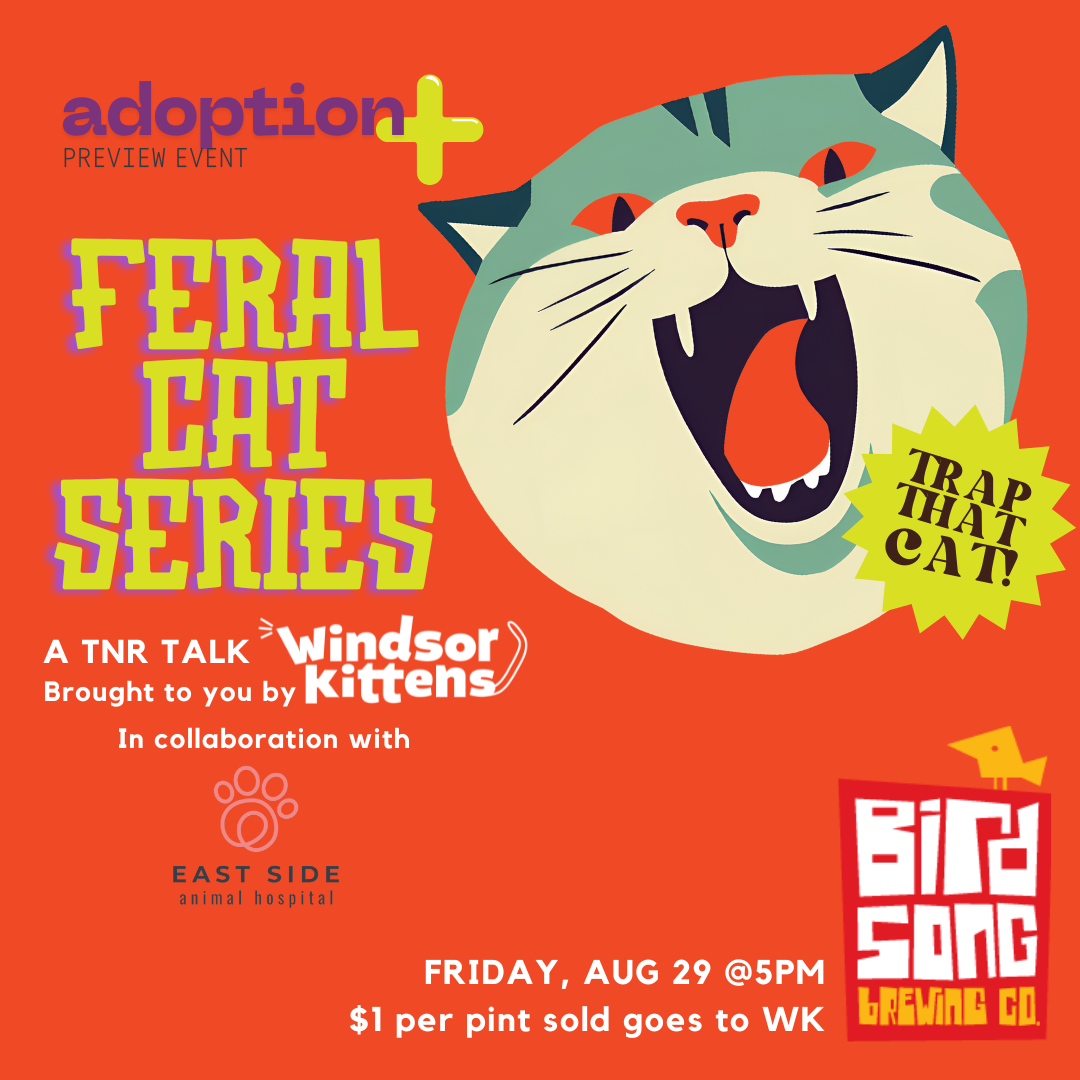 Feral Cat Series: A TNR Talk
