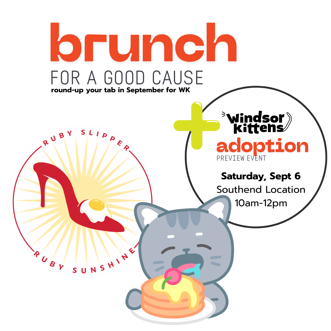 Ruby Sunshine (Southend) Adoption Preview Event