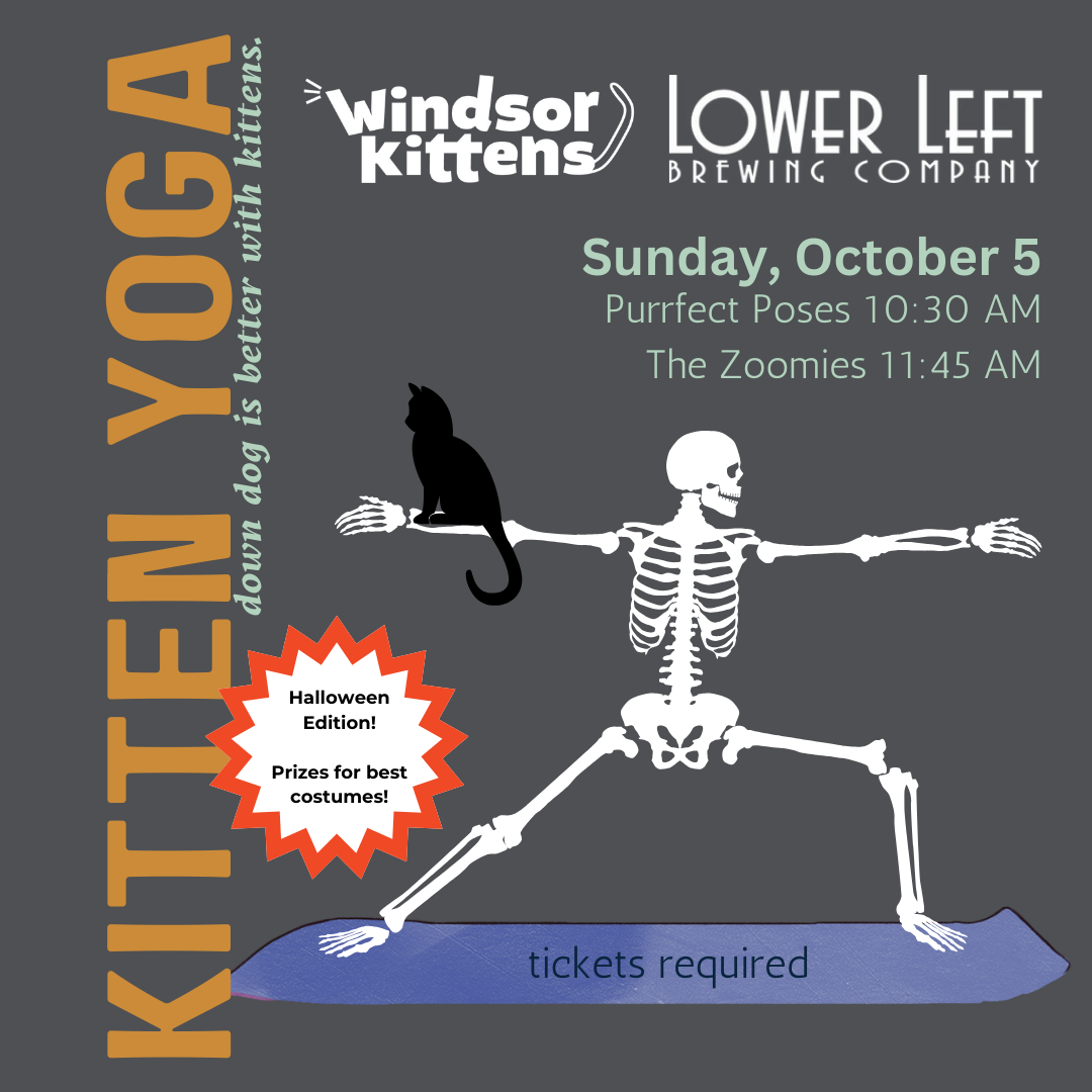 Kitten Yoga: Halloween Edition