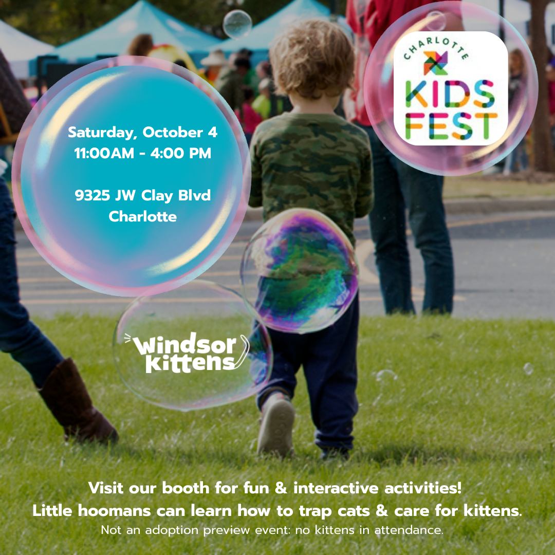 Charlotte Kids’ Fest