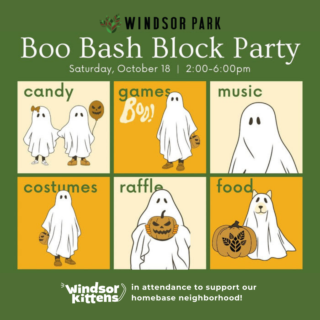 Windsor Park Boo Bash Block Party