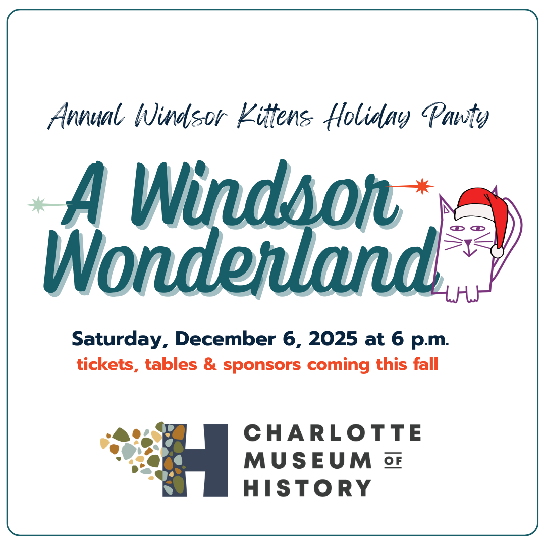 Windsor Wonderland: Annual Windsor Kittens Holiday Pawty