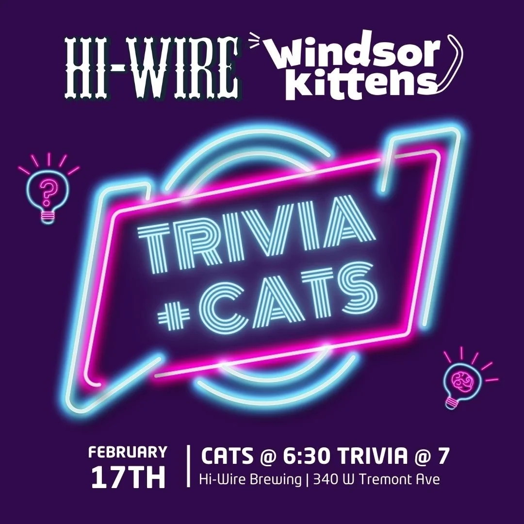 Adoption Preview Event: Trivia Night @ Hi-Wire Brewing (Tues. Feb 17th)