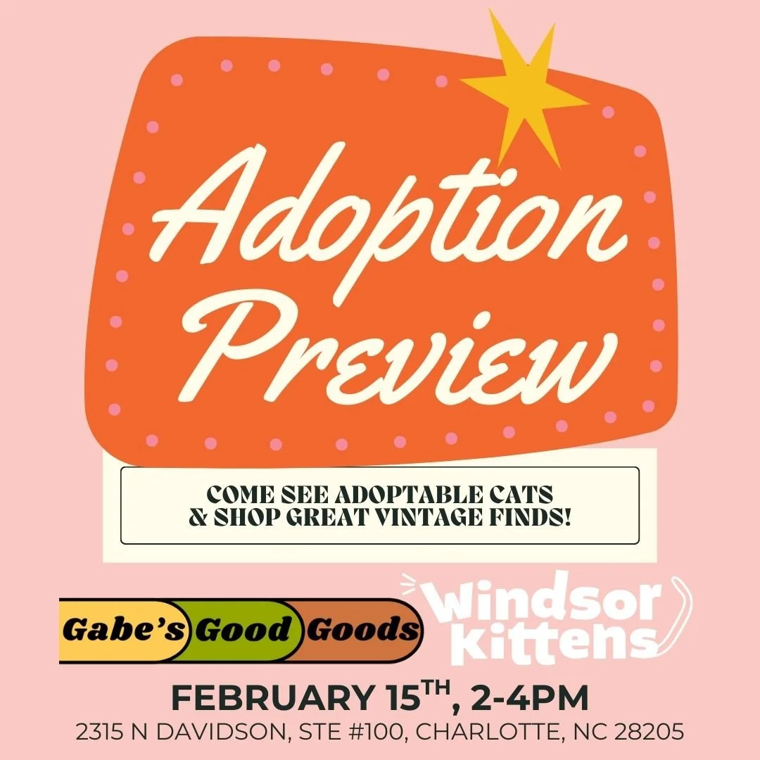 Adoption Preview Event: Gabe’s Good Goods (Sun. Feb. 15)