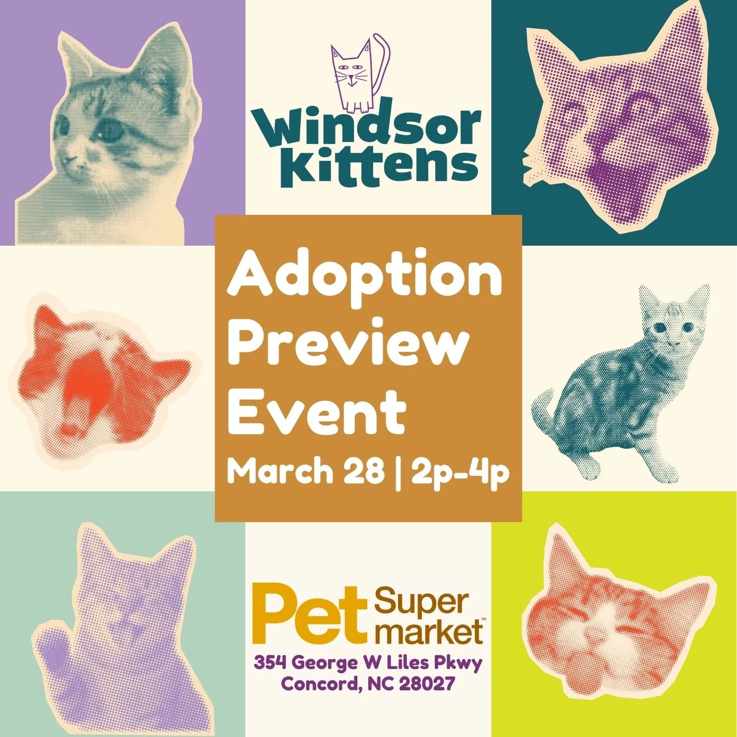 Adoption Preview Event: Pet Supermarket Concord (Sat. Mar. 28)
